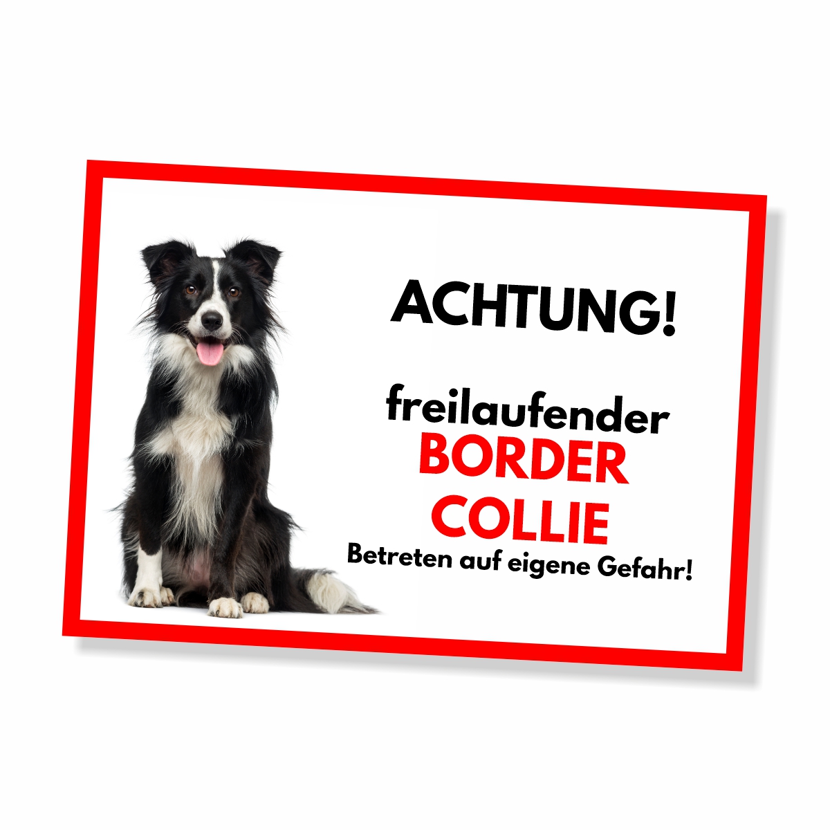 Border Collie 2 Freilaufender Hund Dog Schild Spruch Türschild Hundeschild Warnschild