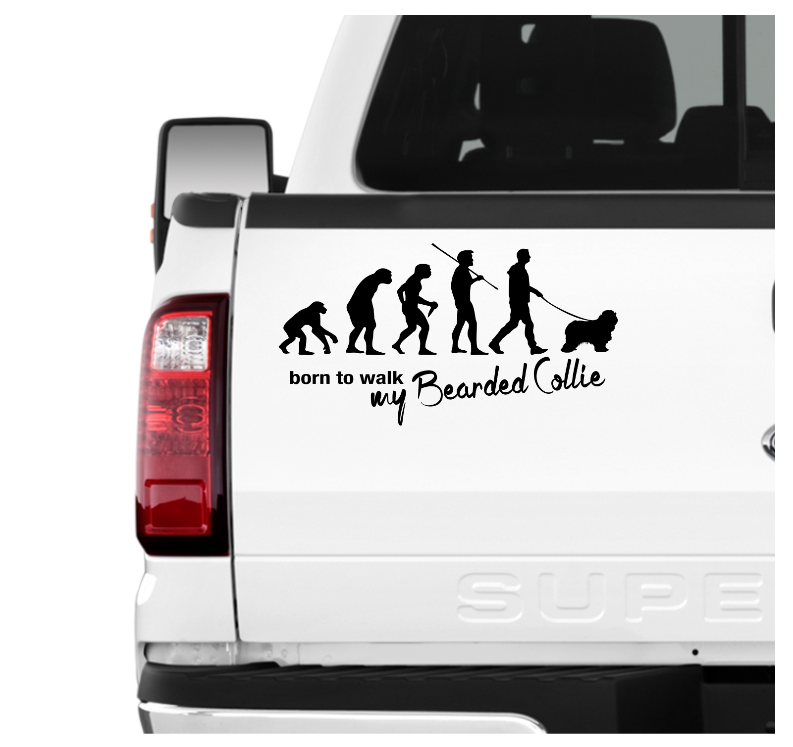 Bearded Collie Beardie Argle Bargle Highland Collie Evolution Born to Walk Hunde Aufkleber Sticker Autoaufkleber Wandtattoo Tattoo