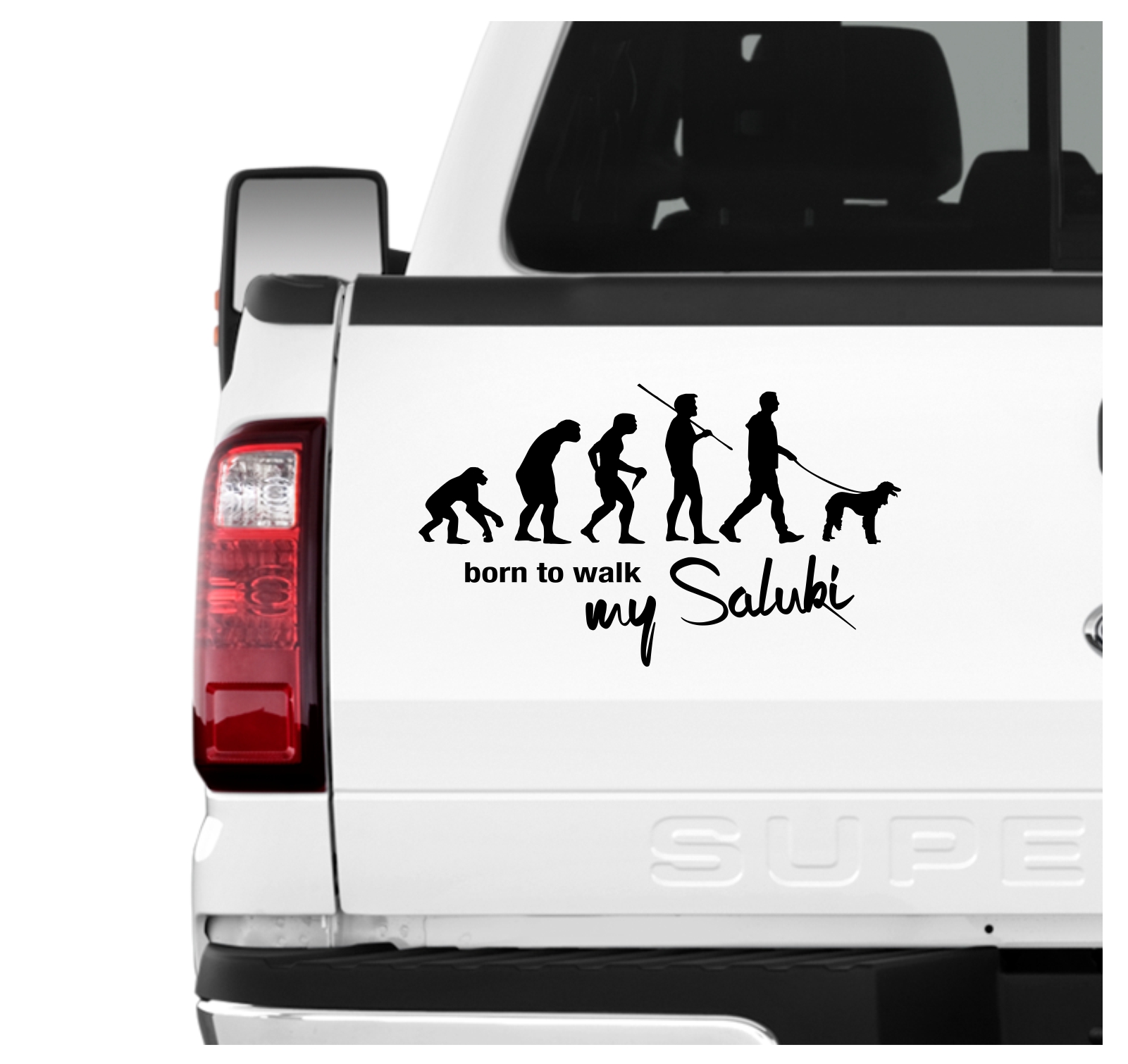 Saluki Tazi Windhund Evolution Born to Walk Hunde Aufkleber Sticker Autoaufkleber Wandtattoo Tattoo