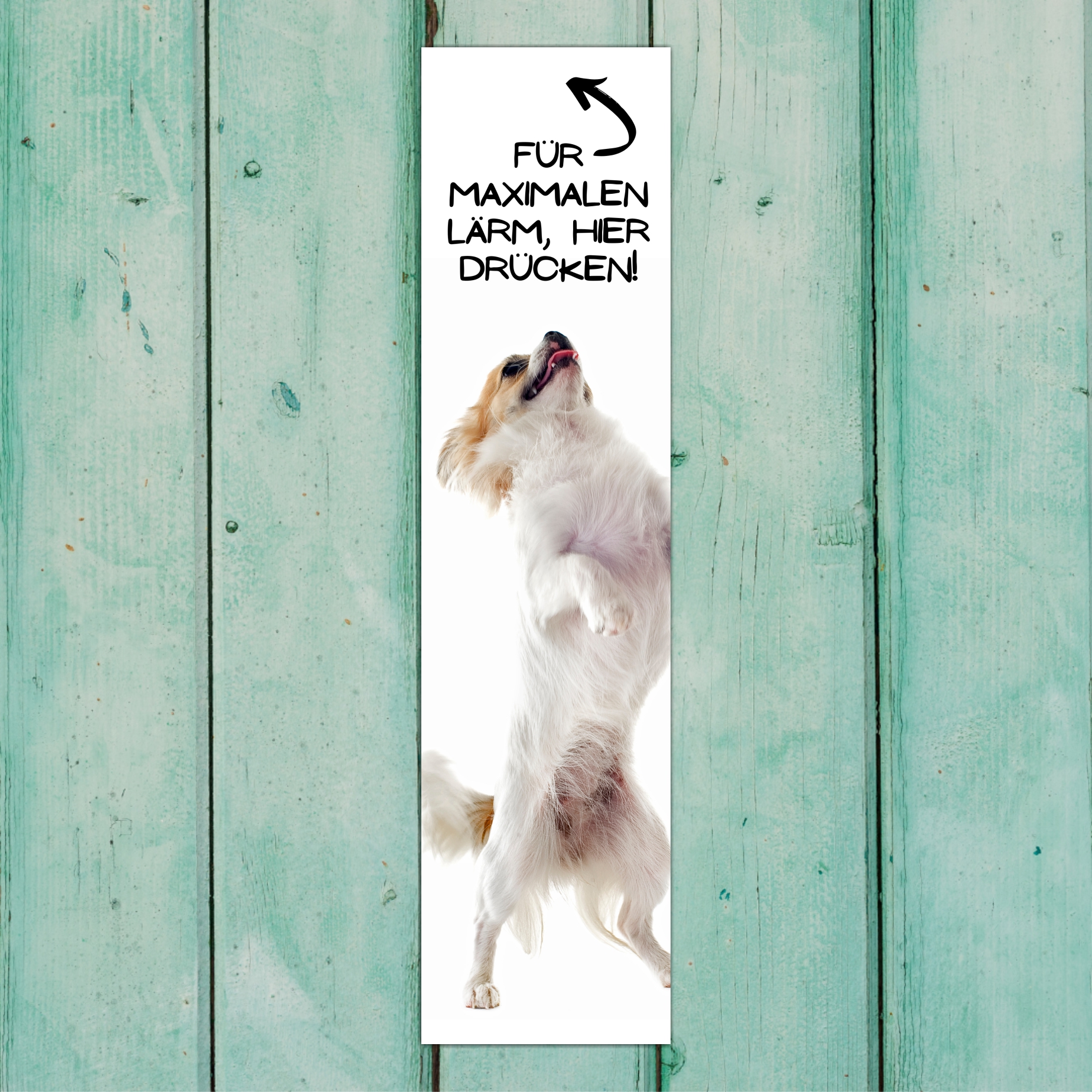 Chihuahua Chi Chis Langhaar Motiv  Chiwawa dog  Schiwawa Dog Türschild Warnschild Hundeschild Schildr happy Design by Siviwonder