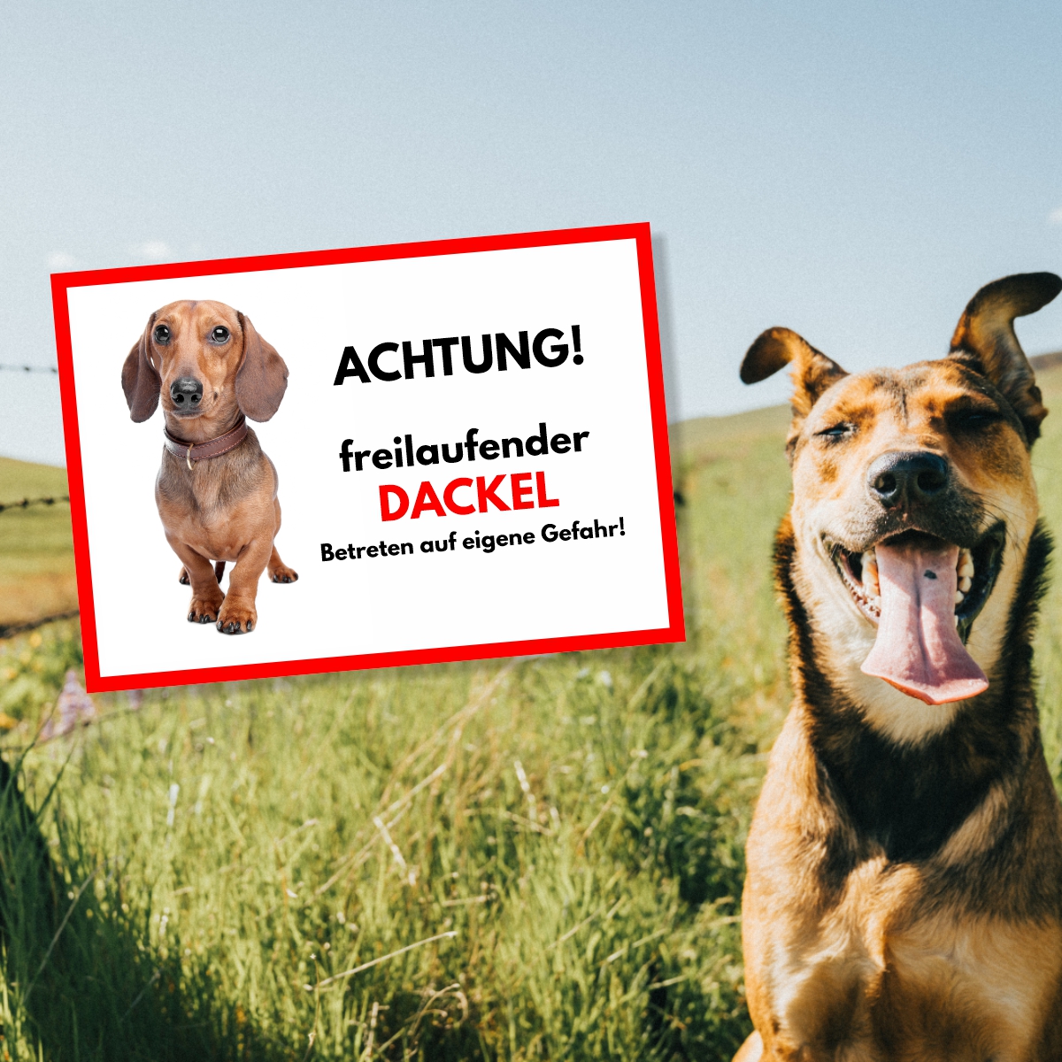 Dackel Freilaufender Hund Dog Schild Spruch Türschild Hundeschild Warnschild