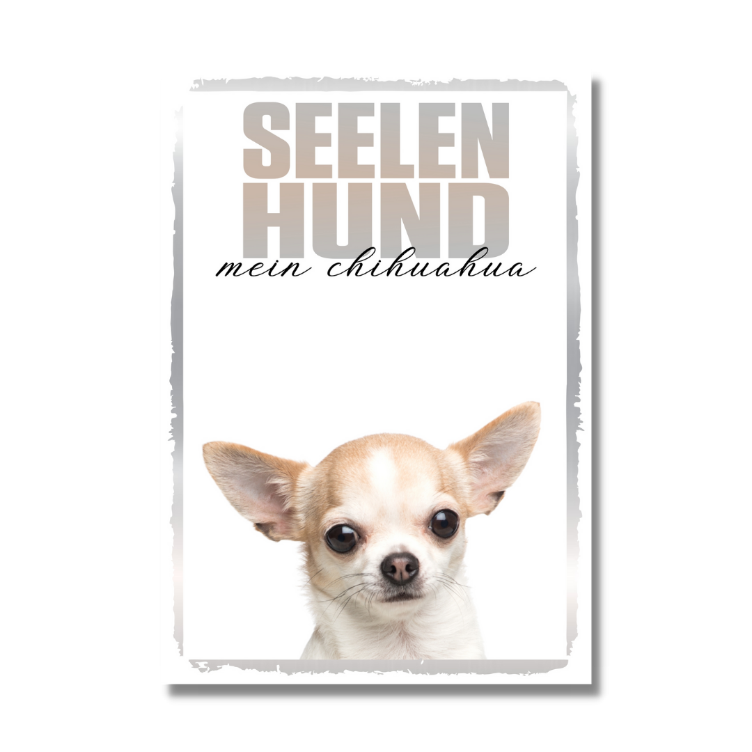 Chihuahua Seelenhund Dog Schild Spruch Türschild Hundeschild Warnschild Soulmate