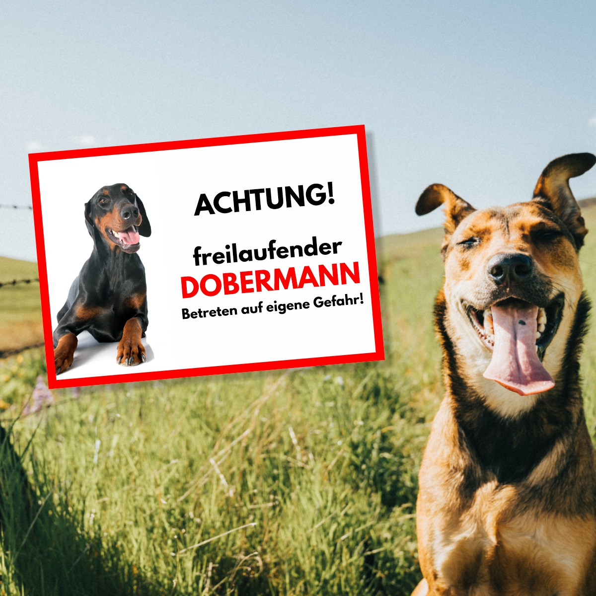 Dobermann Freilaufender Hund Dog Schild Spruch Türschild Hundeschild Warnschild