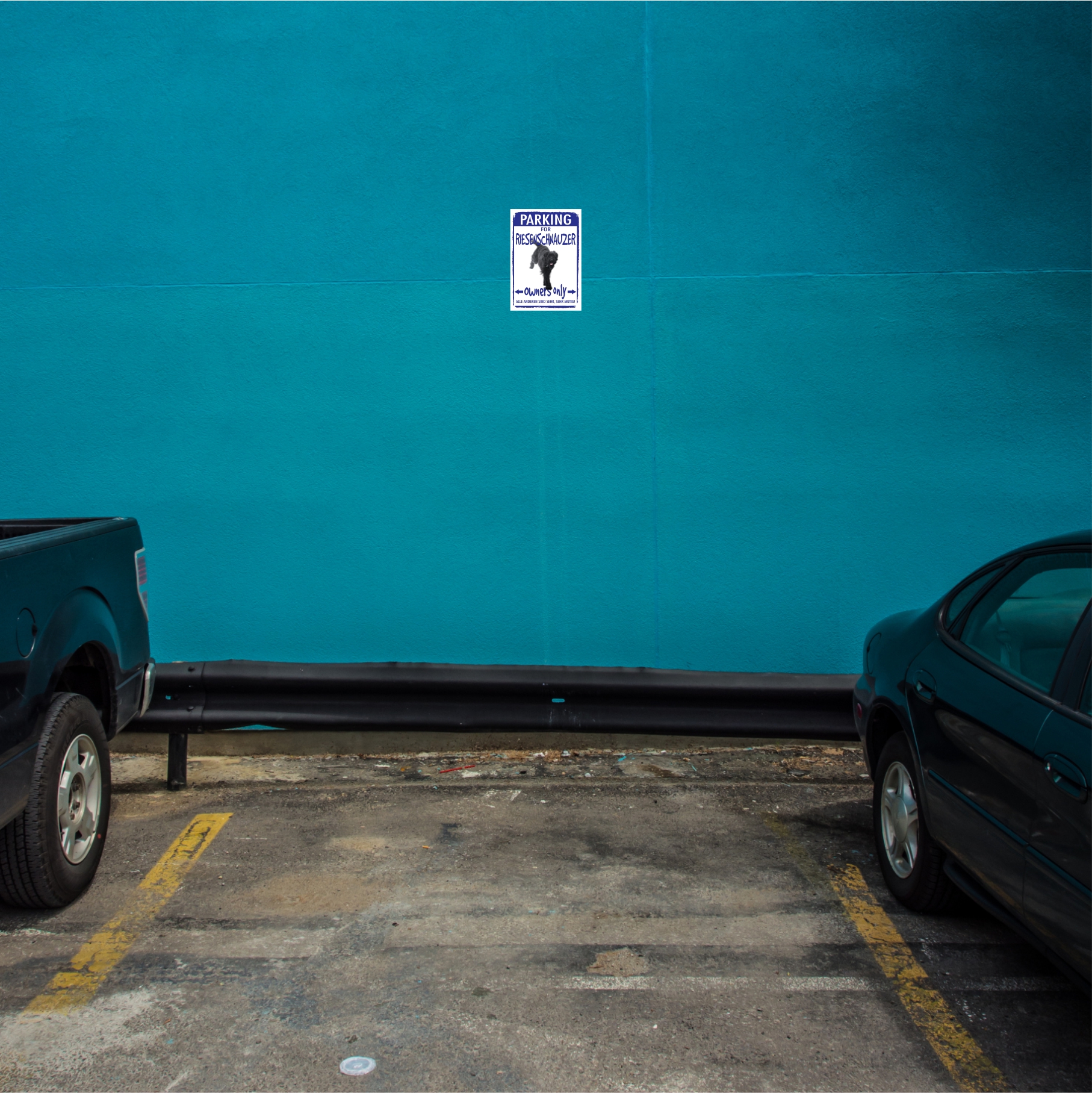 Riesenschnauzer Schnauzer  Parking Schild Achtung Spruch Warnschild Türschild Fun