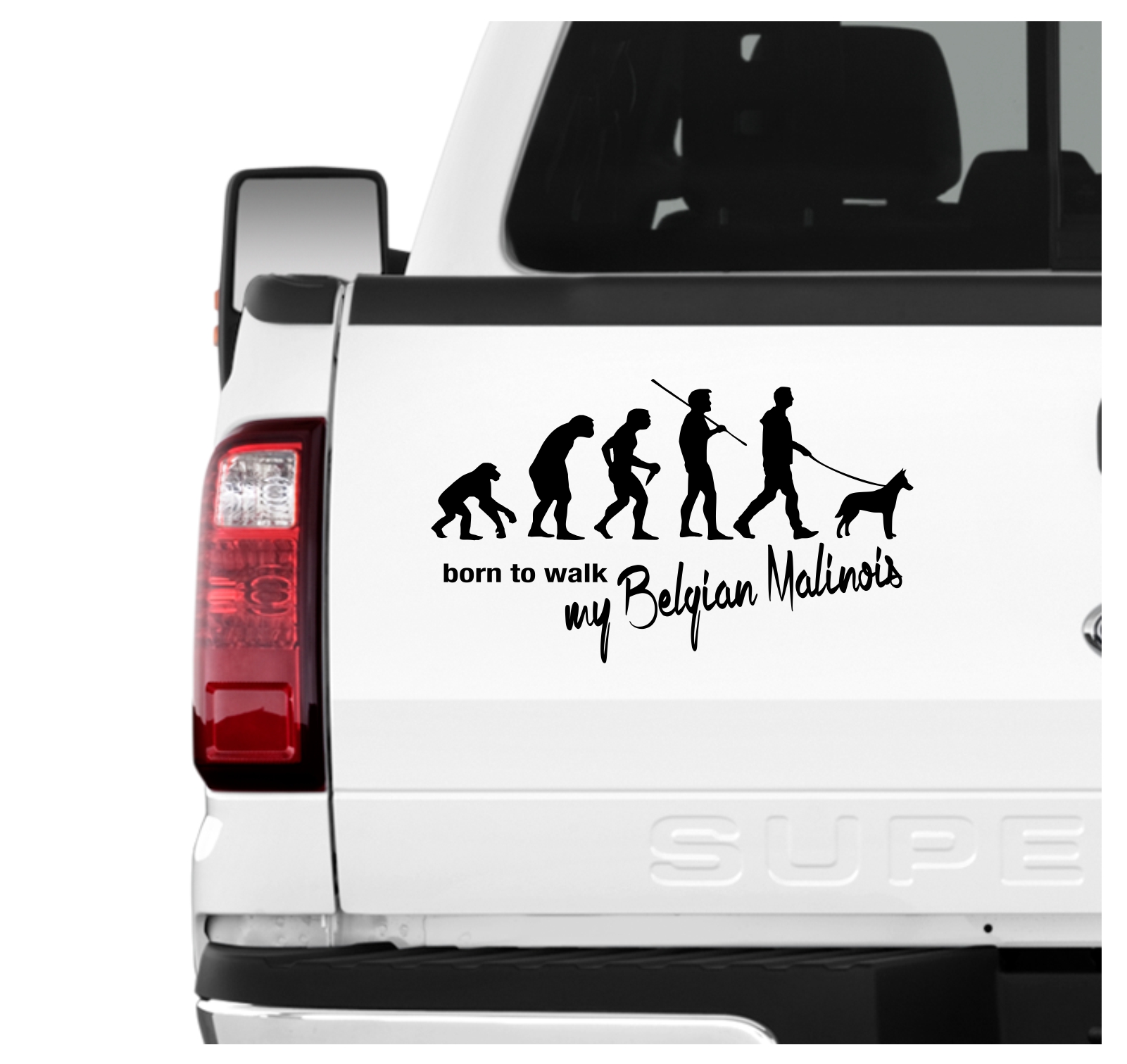 Malinois Belgian Mali Belgischer Schäferhund Berger Belge Evolution Born to Walk Hunde Aufkleber Sticker Autoaufkleber Wandtattoo Tattoo