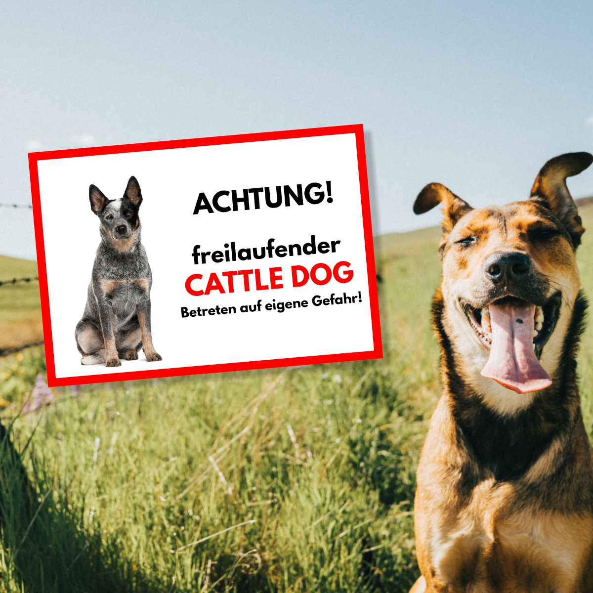 Australian Cattle Dog Freilaufender Hund Dog Schild Spruch Türschild Hundeschild Warnschild