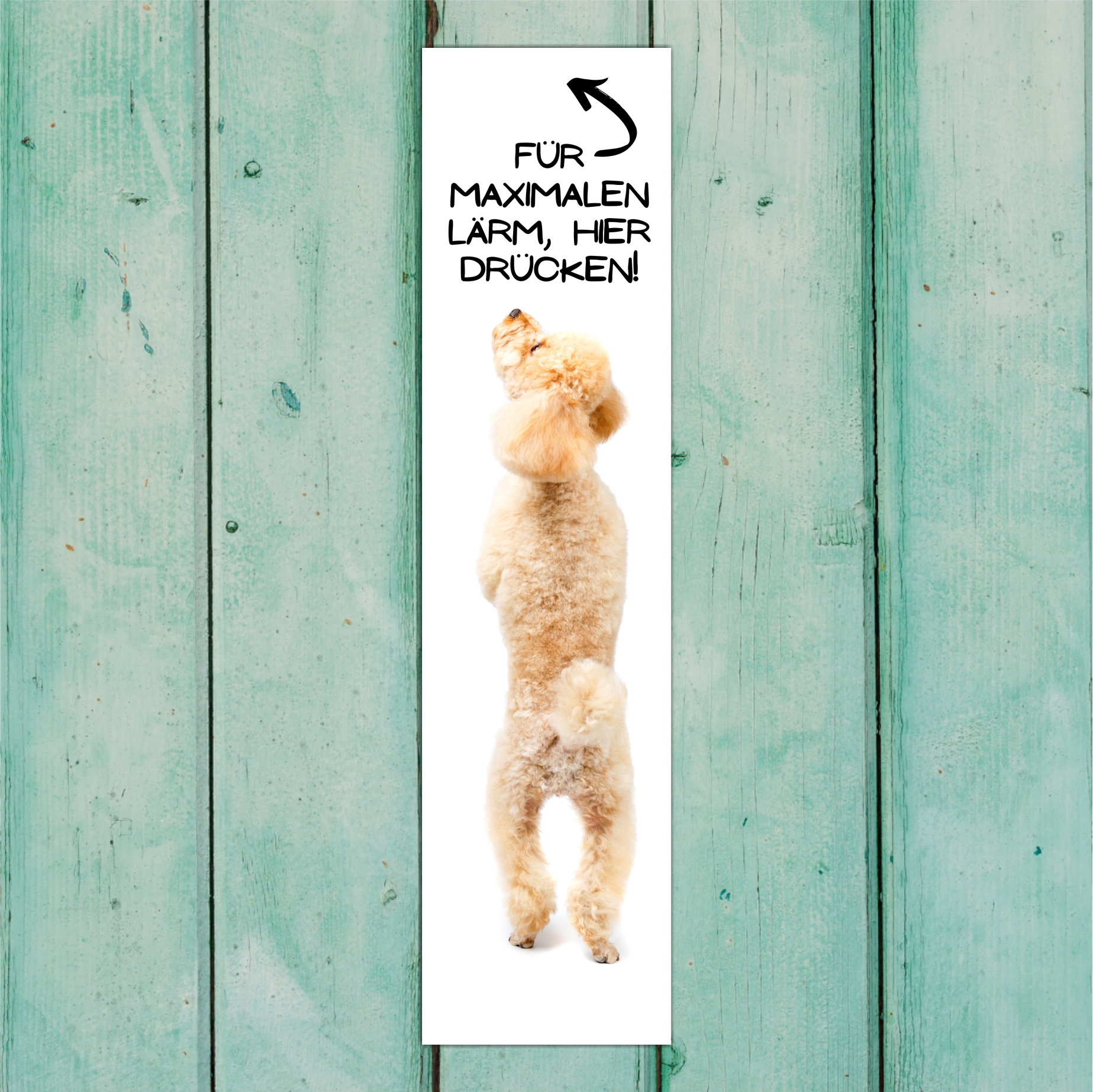 Pudel Pudle Poodle Caniche  Barbone Großpudel Zwergpudel Dog Türschild Warnschild Hundeschild Schildr happy Design by Siviwonder
