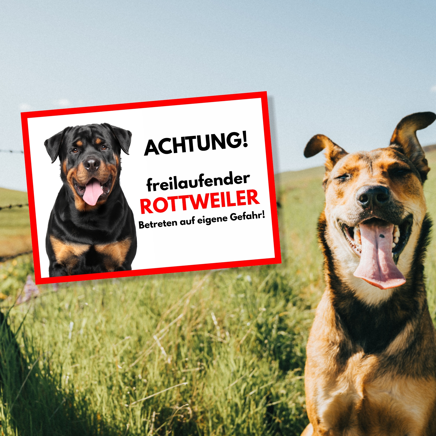 Rottweiler Freilaufender Hund Dog Schild Spruch Türschild Hundeschild Warnschild