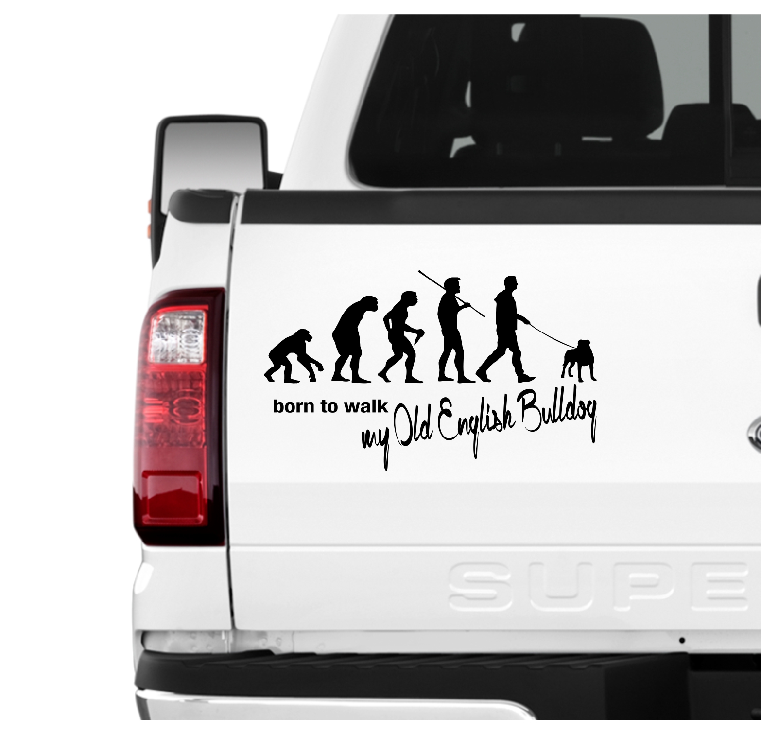 Old English Bulldog OEB Olde Englische Bulldogge Evolution Born to Walk Hunde Aufkleber Sticker Autoaufkleber Wandtattoo Tattoo