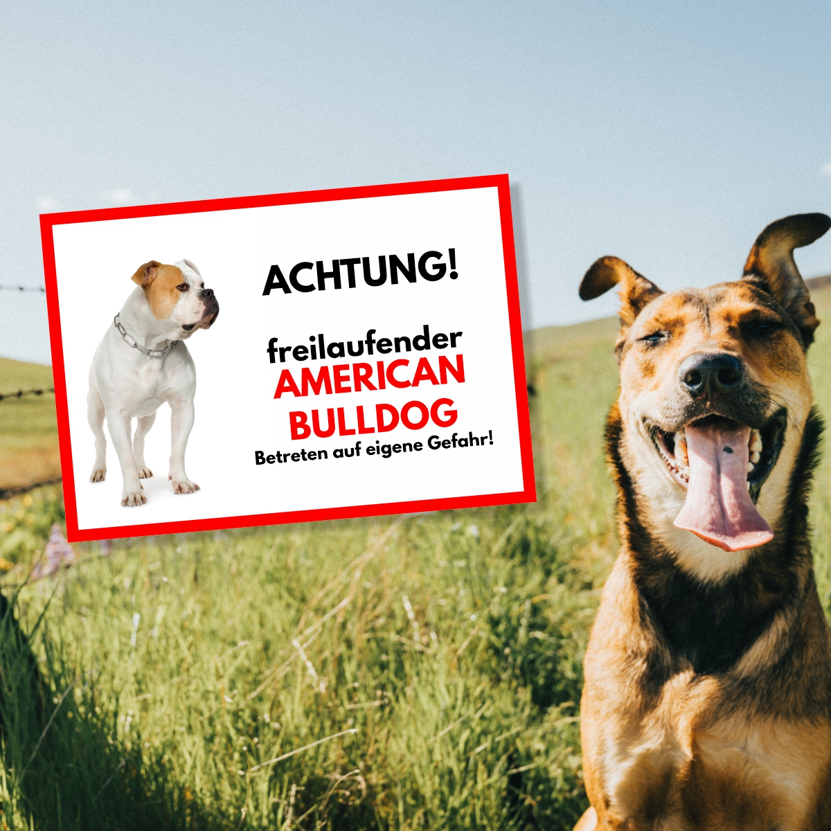 American Bulldog Freilaufender Hund Dog Schild Spruch Türschild Hundeschild Warnschild