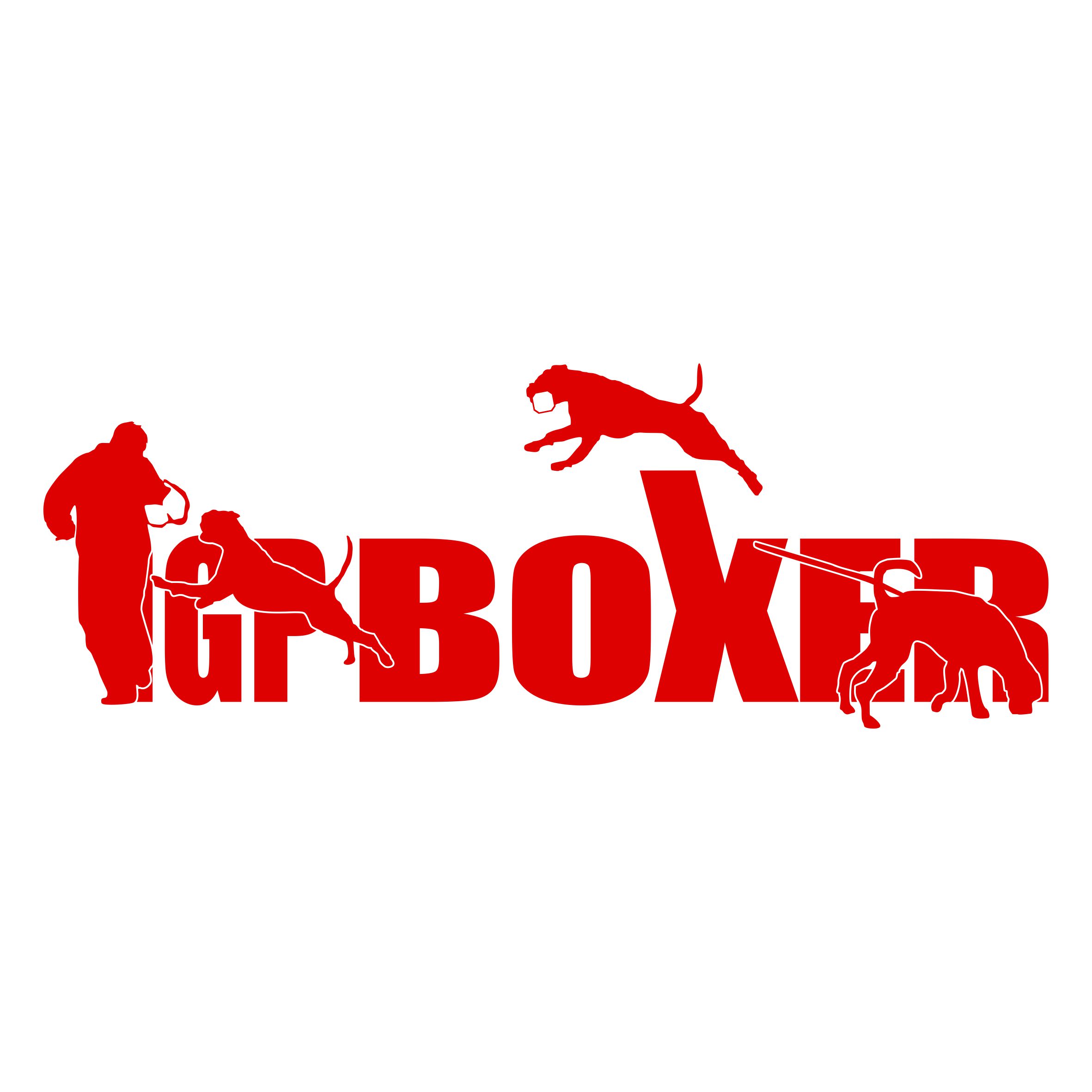 BOXER Deutscher AUTOAUFKLEBER IGP Schrift by SIVIWONDER IPO
