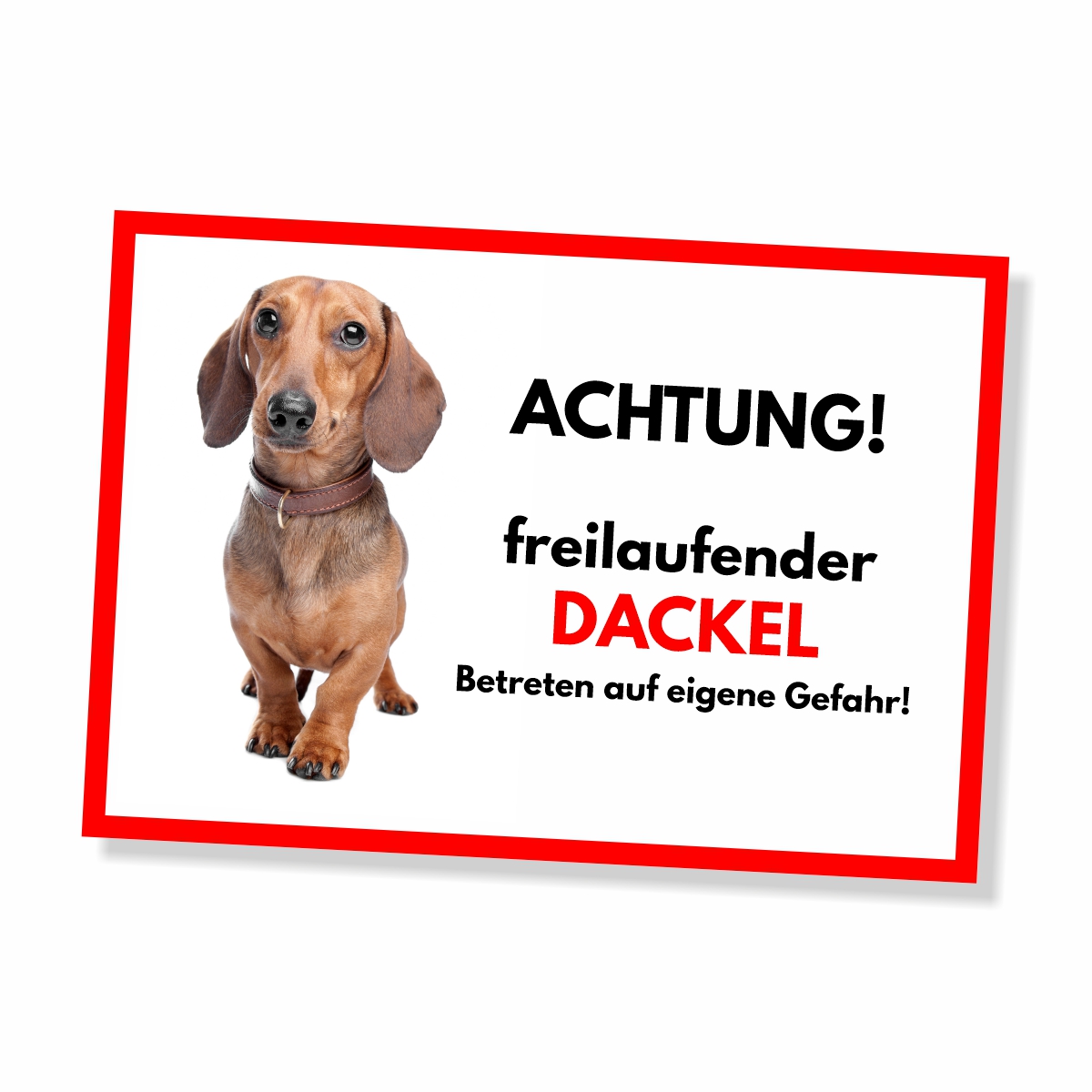 Dackel Freilaufender Hund Dog Schild Spruch Türschild Hundeschild Warnschild