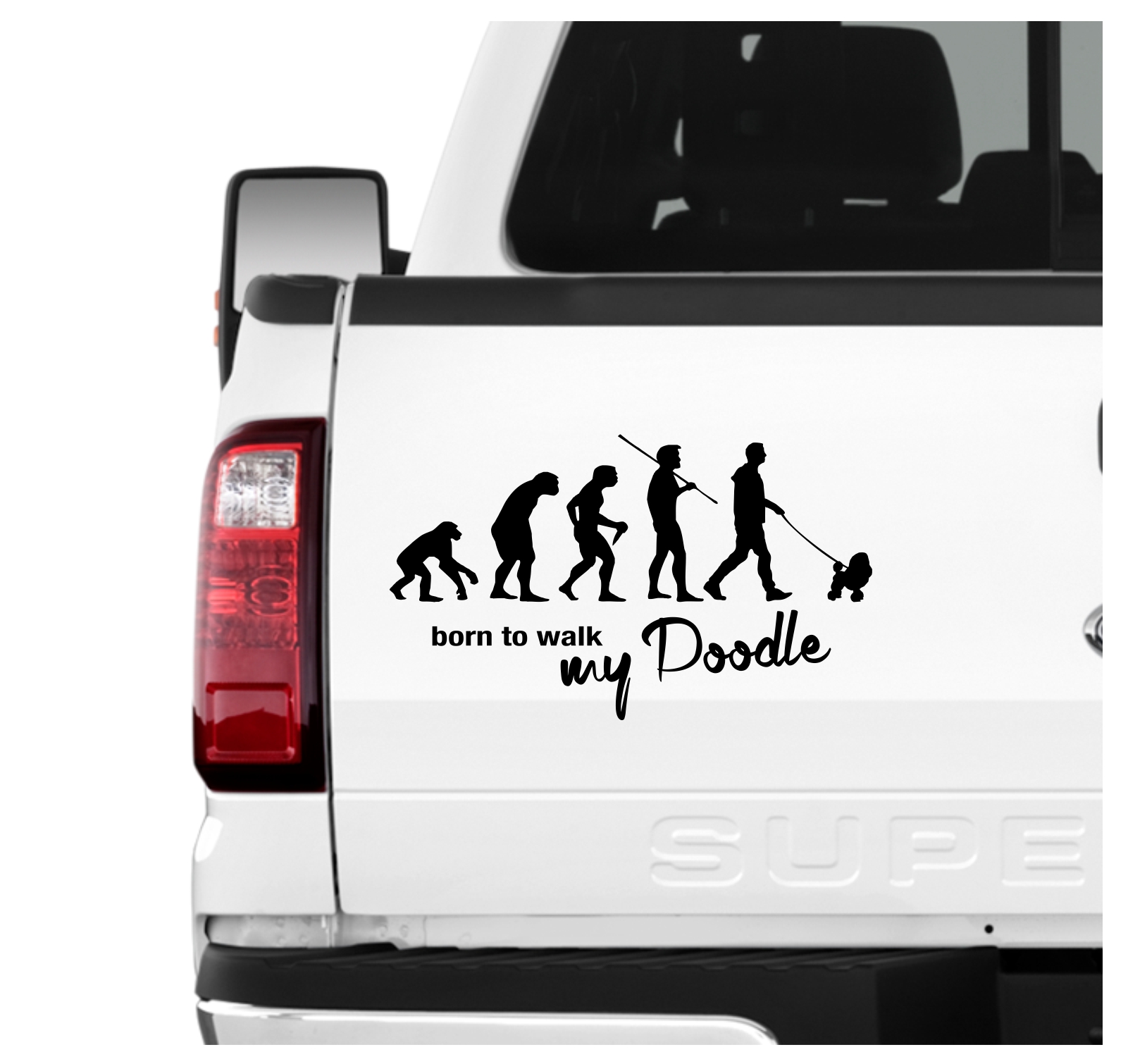 Poodle Pudel Pudle  Caniche  Barbone Großpudel Zwergpudel Evolution Born to Walk Hunde Aufkleber Sticker Autoaufkleber Wandtattoo Tattoo