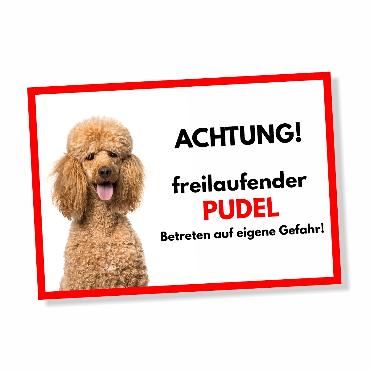 Pudel Freilaufender Hund Dog Schild Spruch Türschild Hundeschild Warnschild