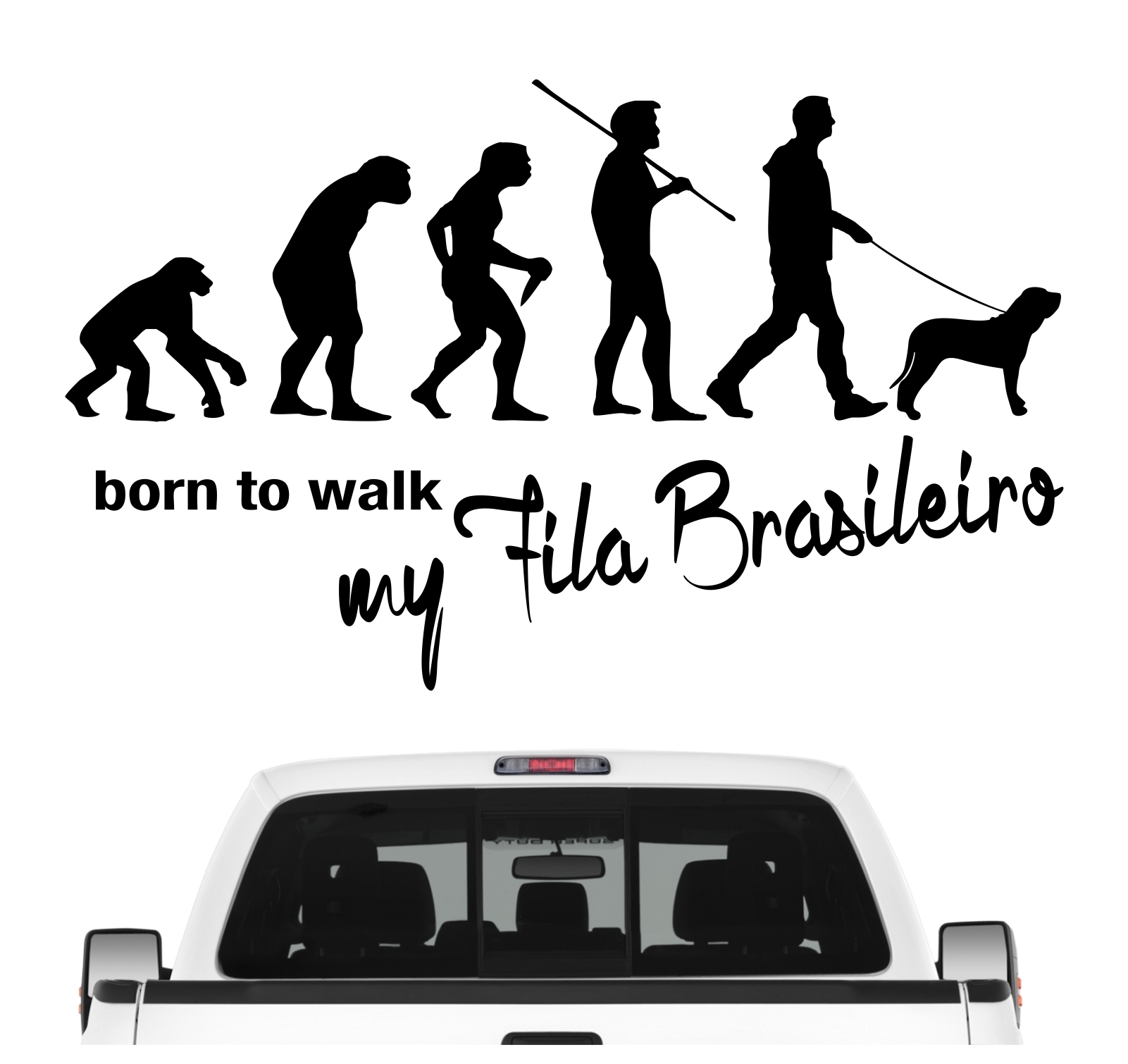 Fila Brasileiro Molosser Brasilien Brasilianischer Mastiff Evolution Born to Walk Hunde Aufkleber Sticker Autoaufkleber Wandtattoo Tattoo