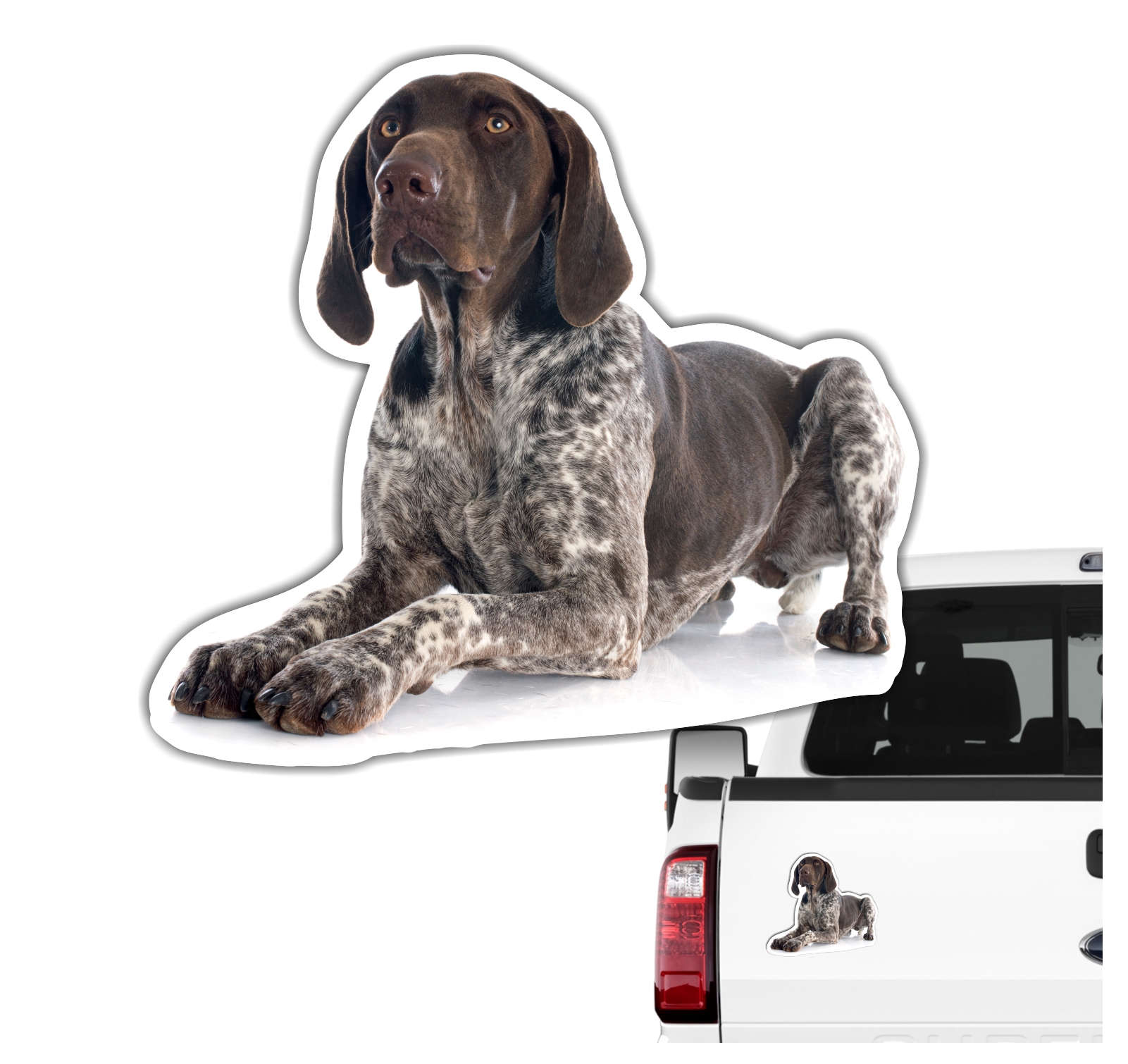 Deutsch Kurzhaar DK Deutscher kurzhaariger Vorstehhund German Shorthaired Pointer Jagdhund Jäger Bayern  Dog Pfoten Digitaldruck Motiv by SIVIWONDER