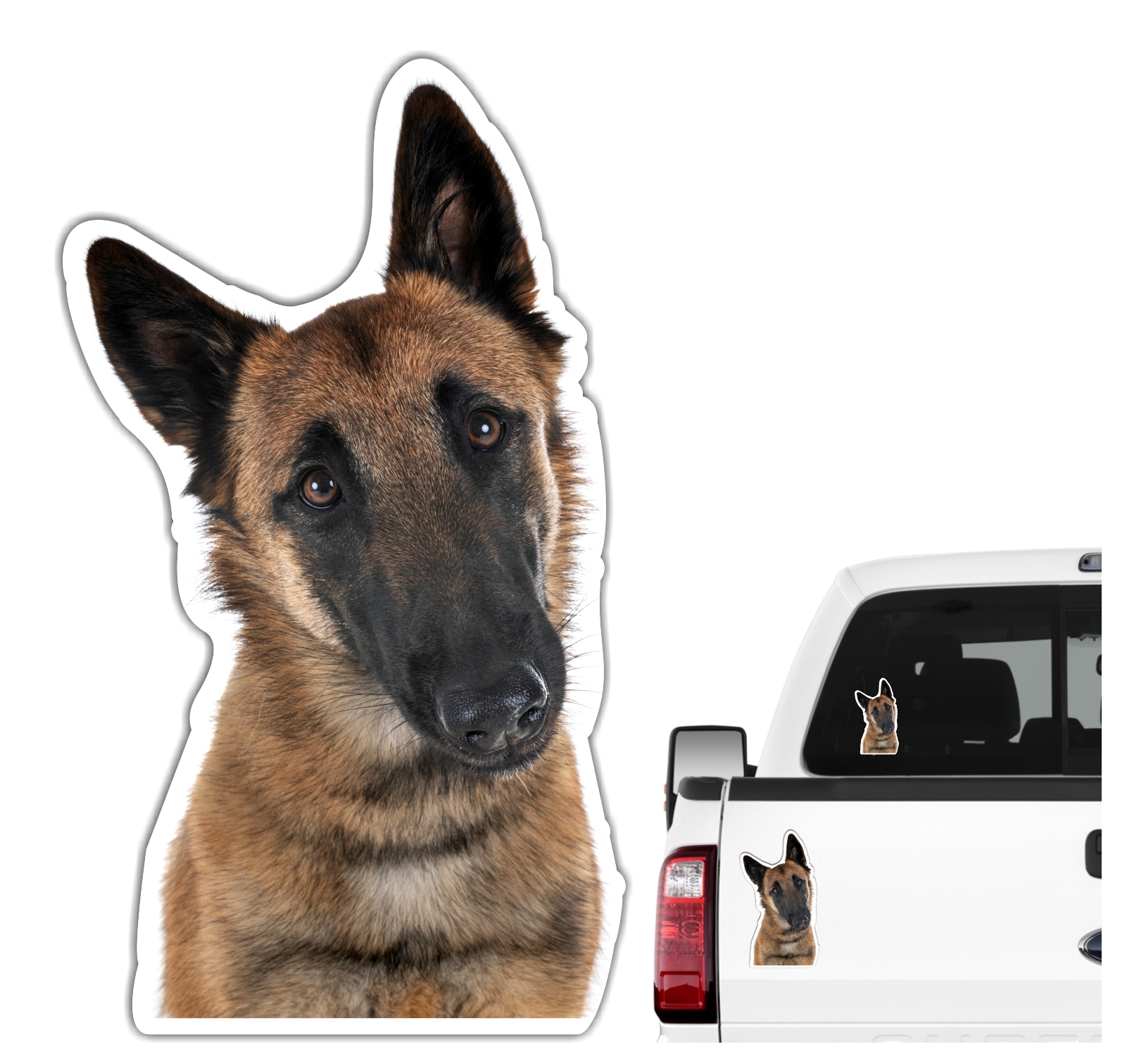 Malinois Belgian Mali Belgischer Schäferhund Berger Belge Dog Pfoten Digitaldruck Motiv by SIVIWONDER