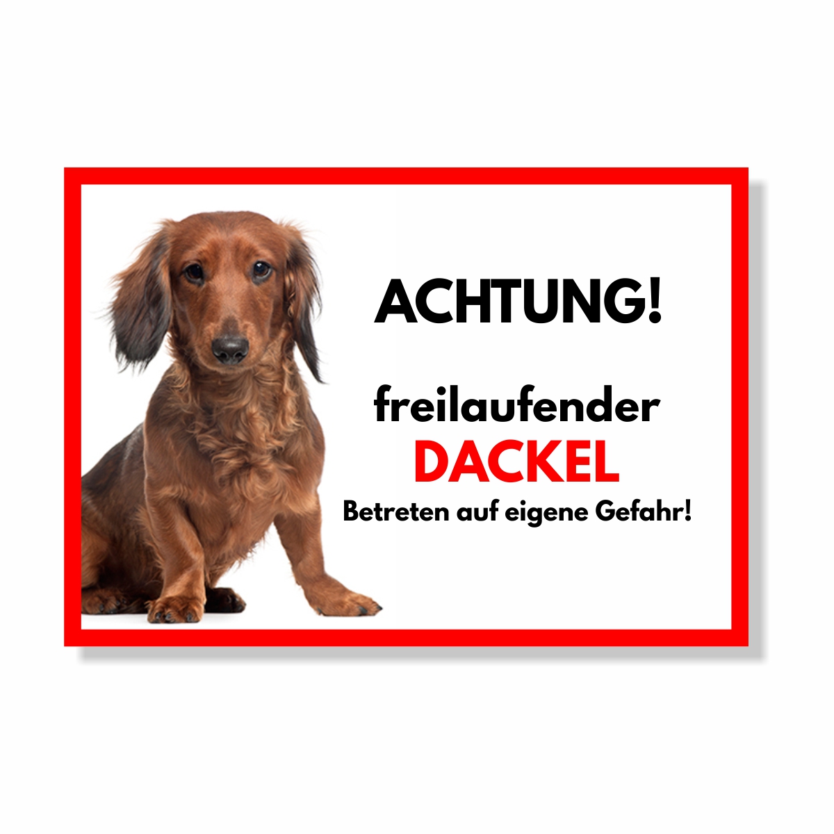 Dackel Langhaar Freilaufender Hund Dog Schild Spruch Türschild Hundeschild Warnschild