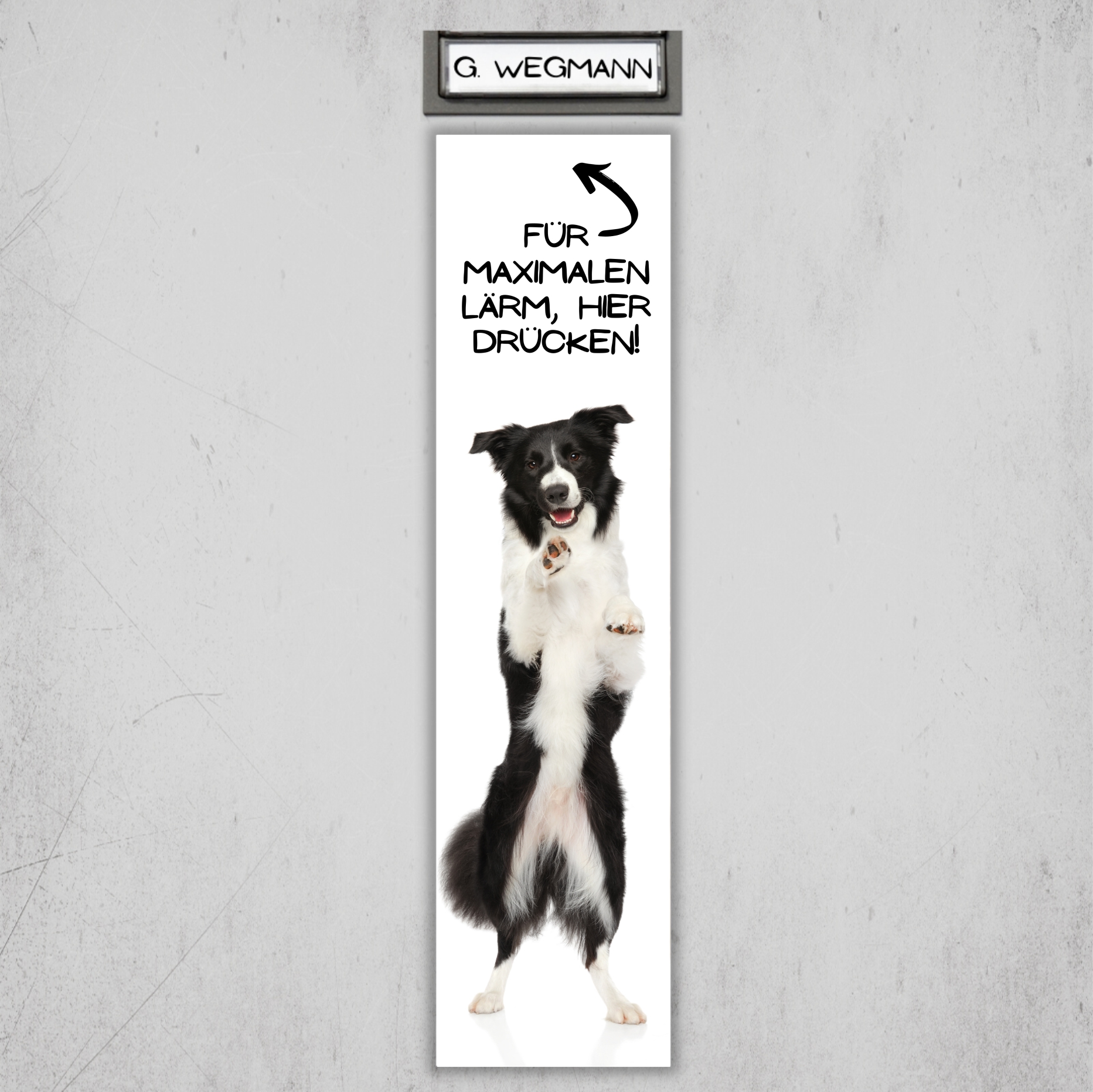 Border Collie Sheepdog Scotch Sheep Dog Türschild Warnschild Hundeschild Schildr happy Design by Siviwonder