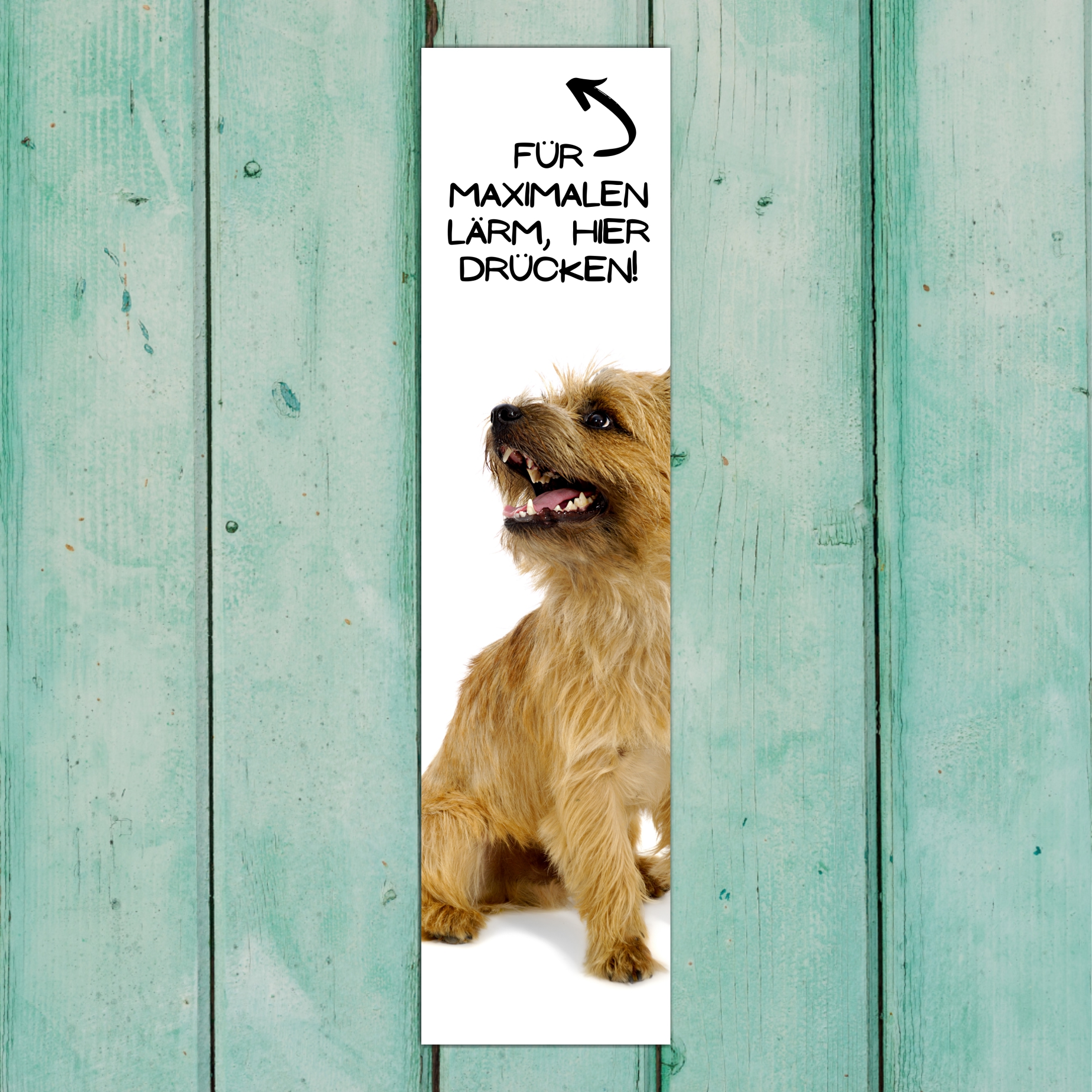 Cairn Terrier Kern Miniature Mini  Dog Türschild Warnschild Hundeschild Schilder happy Design by Siviwonder