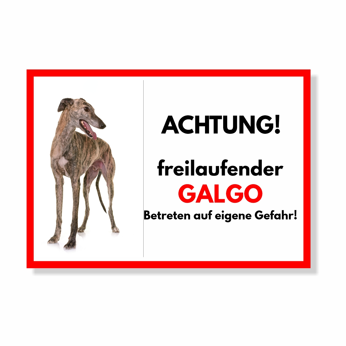 Galgo Freilaufender Hund Dog Schild Spruch Türschild Hundeschild Warnschild