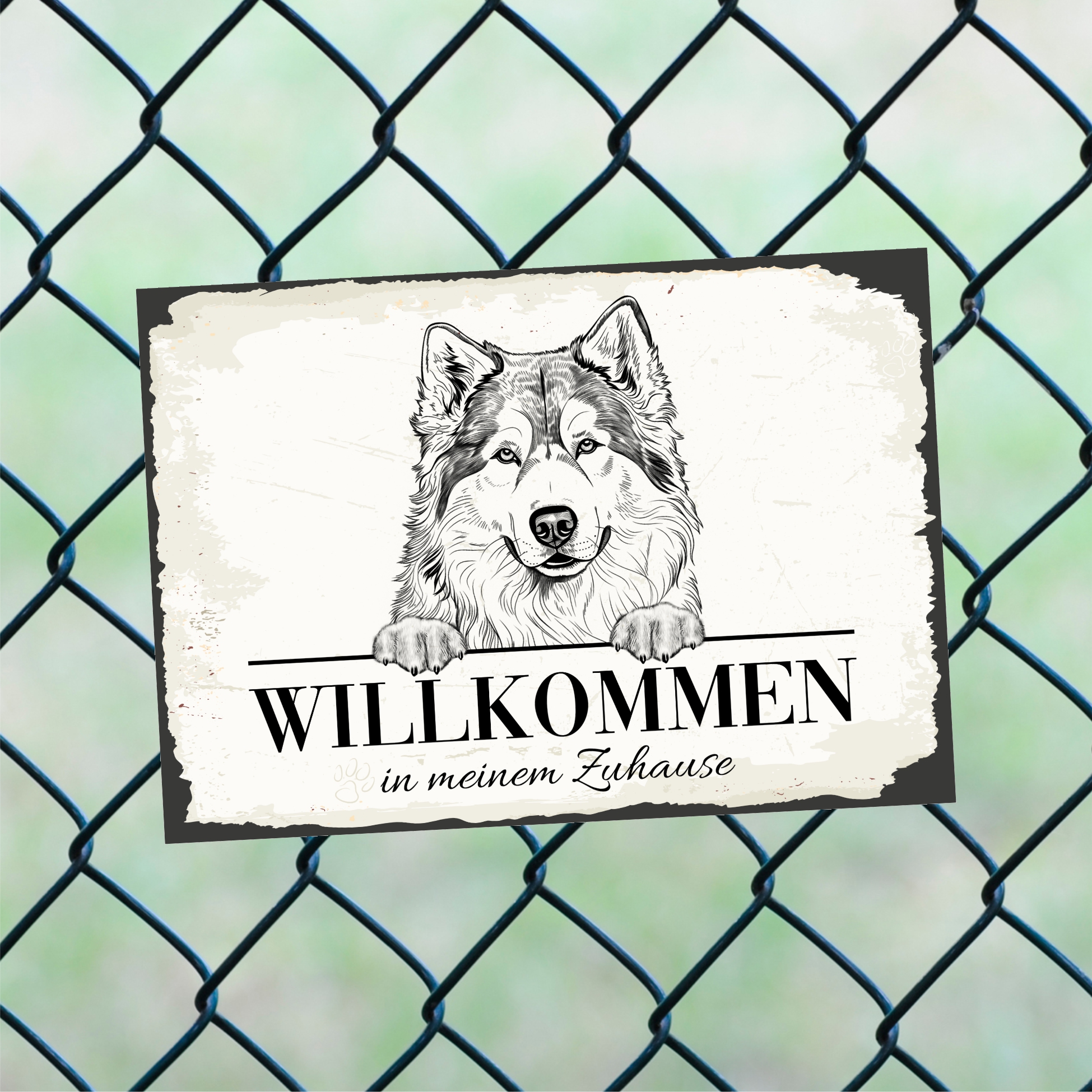 Hundeschild Willkommen Zuhause Alaskan Malamute No.1 Dog Schild Spruch Türschild Warnschild