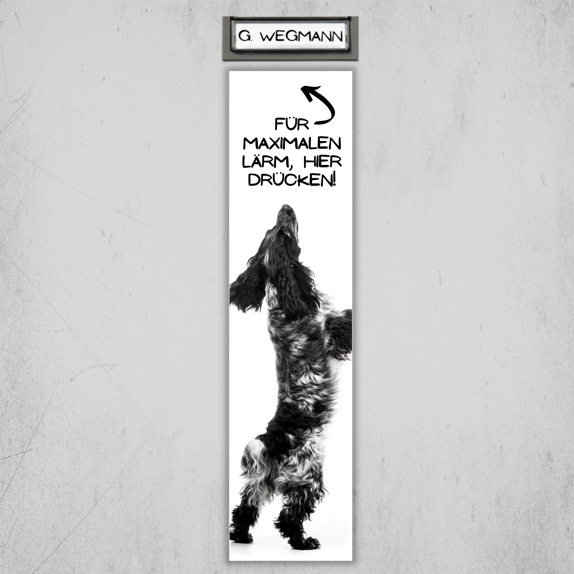 Cocker Spaniel Cockie Spanier English schimmel  Dog Türschild Warnschild Hundeschild Schildr happy Design by Siviwonder