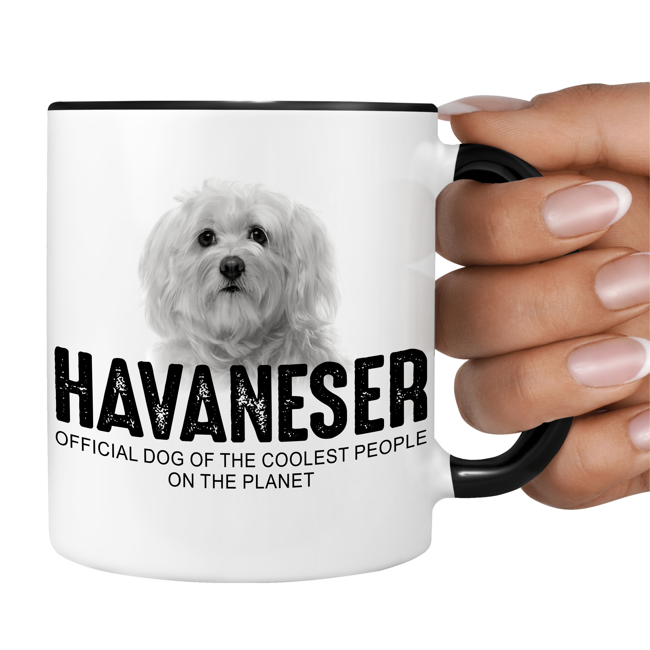 Havaneser Havanese Kuba Bichon Havana Bichon Habanero  Dog Tasse Kaffeetasse Kaffeebecher happy Design by Siviwonder