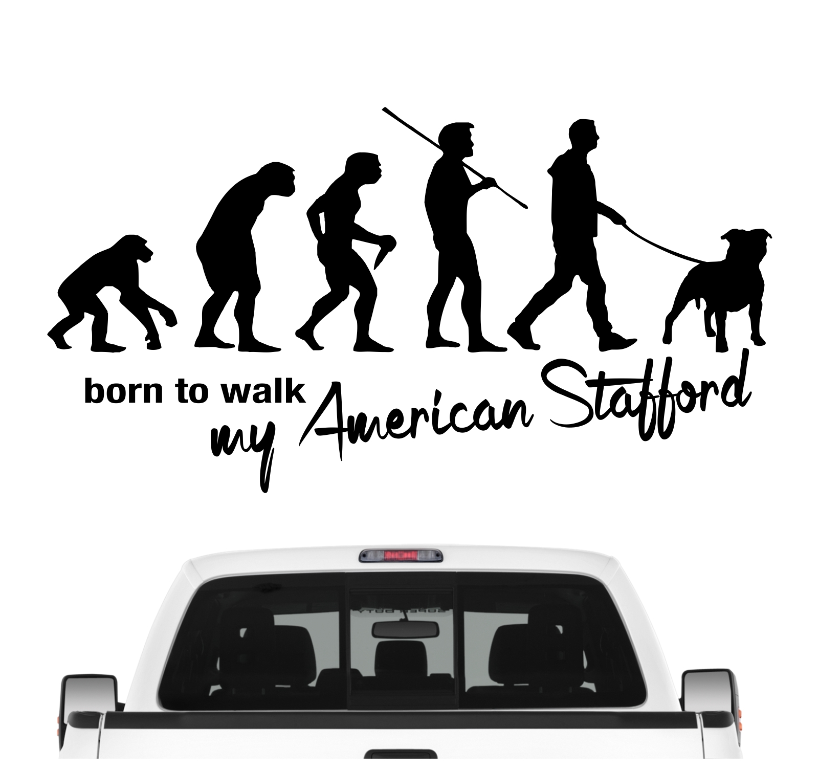 American Staffordshire Terrier USA AmStaff Pit Bull Terrier  Evolution Born to Walk Hunde Aufkleber Sticker Autoaufkleber Wandtattoo Tattoo