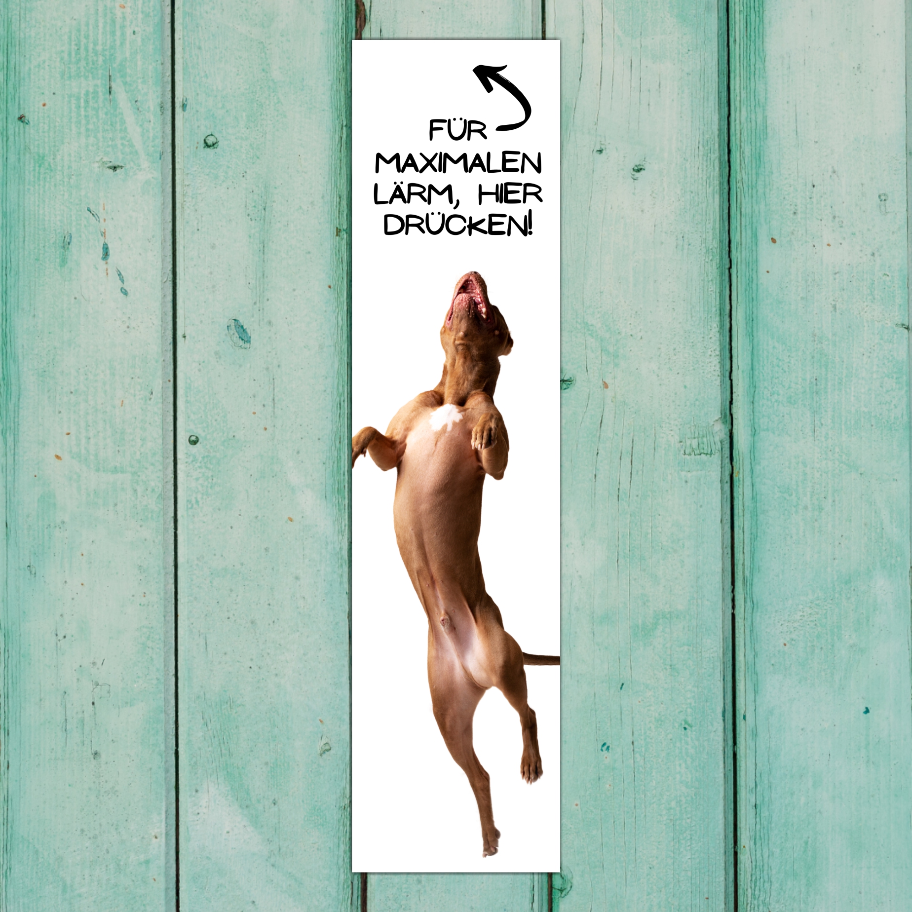 American Staffordshire Terrier USA  Pit Bull Terrier  Dog Türschild Warnschild Hundeschild Schildr happy Design by Siviwonder