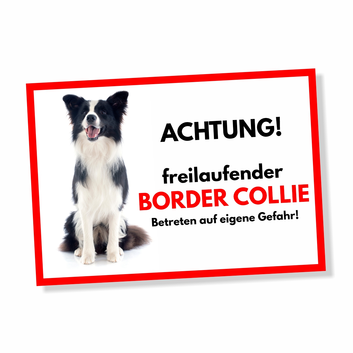 Border Collie 1 Freilaufender Hund Dog Schild Spruch Türschild Hundeschild Warnschild