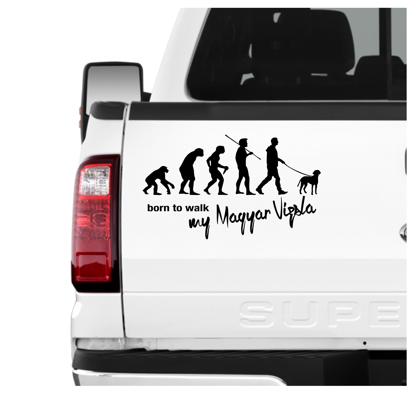 Magyar Vizsla Kurzhaariger Ungarischer Vorstehhund Hungarian Pointer Evolution Born to Walk Hunde Aufkleber Sticker Autoaufkleber Wandtattoo Tattoo