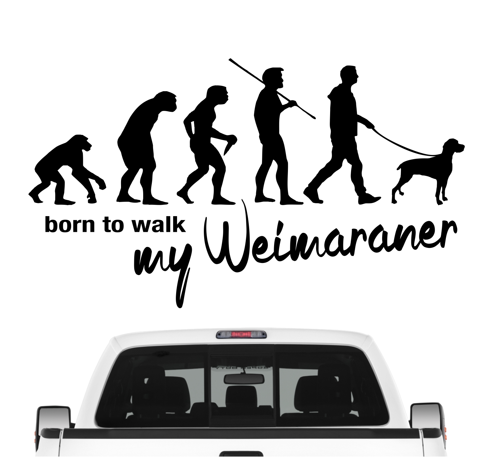 Weimaraner Weim Vorstehhund  Grey Ghost Evolution Born to Walk Hunde Aufkleber Sticker Autoaufkleber Wandtattoo Tattoo
