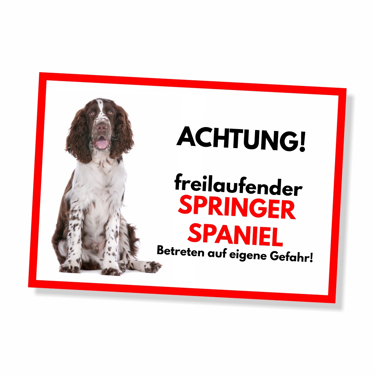 Springer Spaniel Freilaufender Hund Dog Schild Spruch Türschild Hundeschild Warnschild