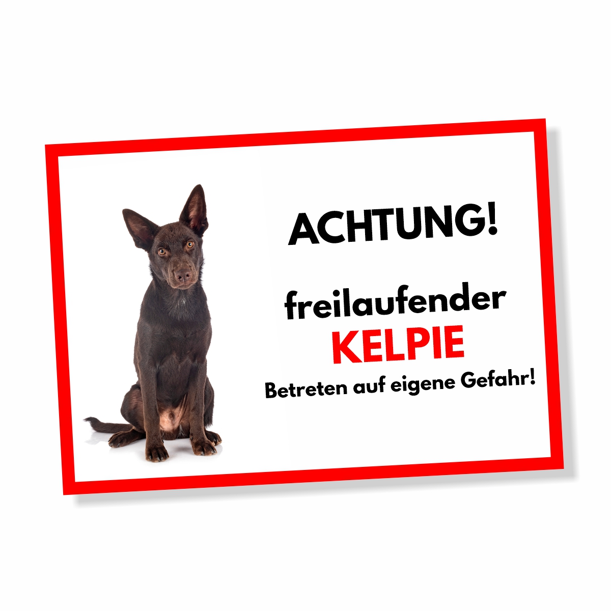 Kelpie Freilaufender Hund Dog Schild Spruch Türschild Hundeschild Warnschild