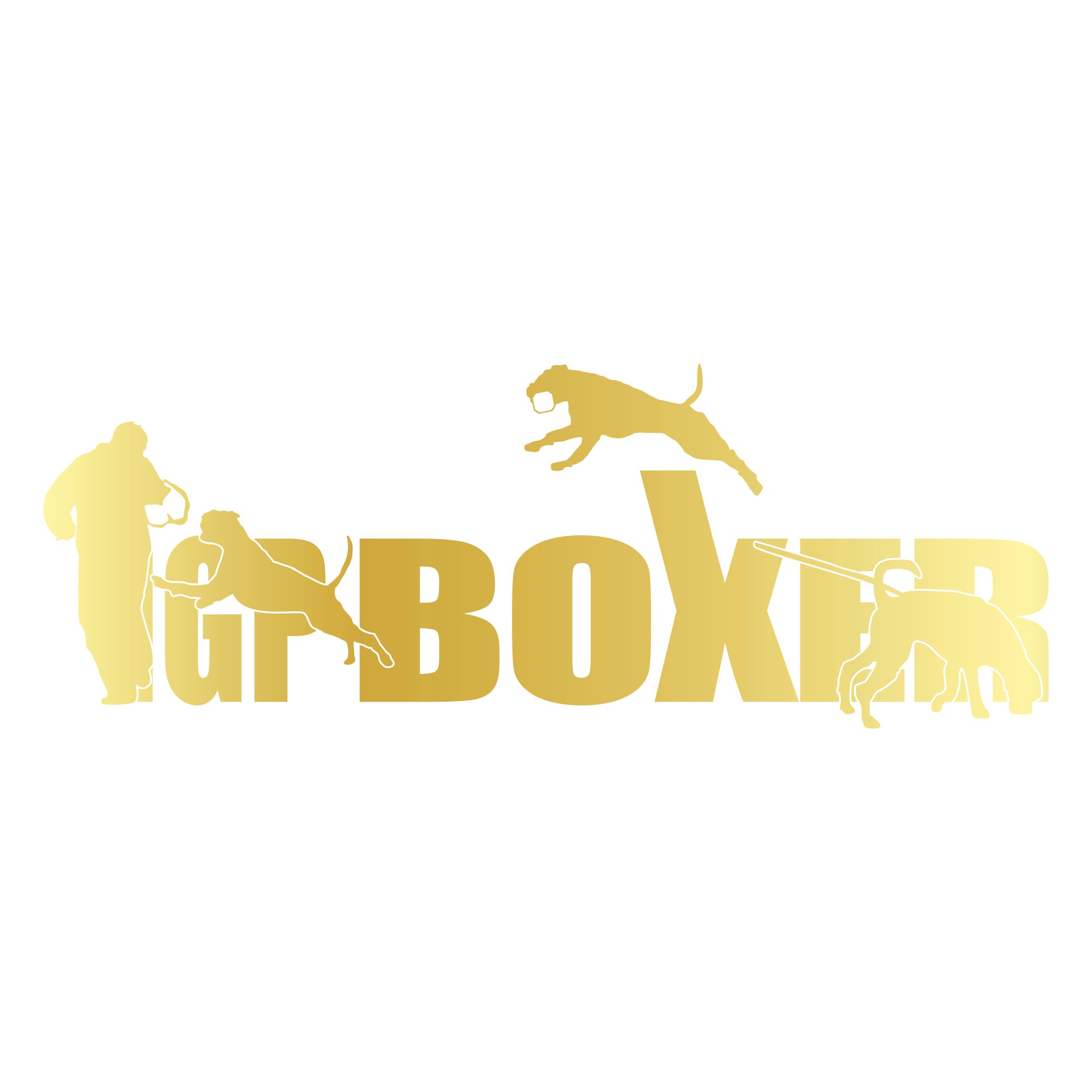 BOXER Deutscher AUTOAUFKLEBER IGP Schrift by SIVIWONDER IPO