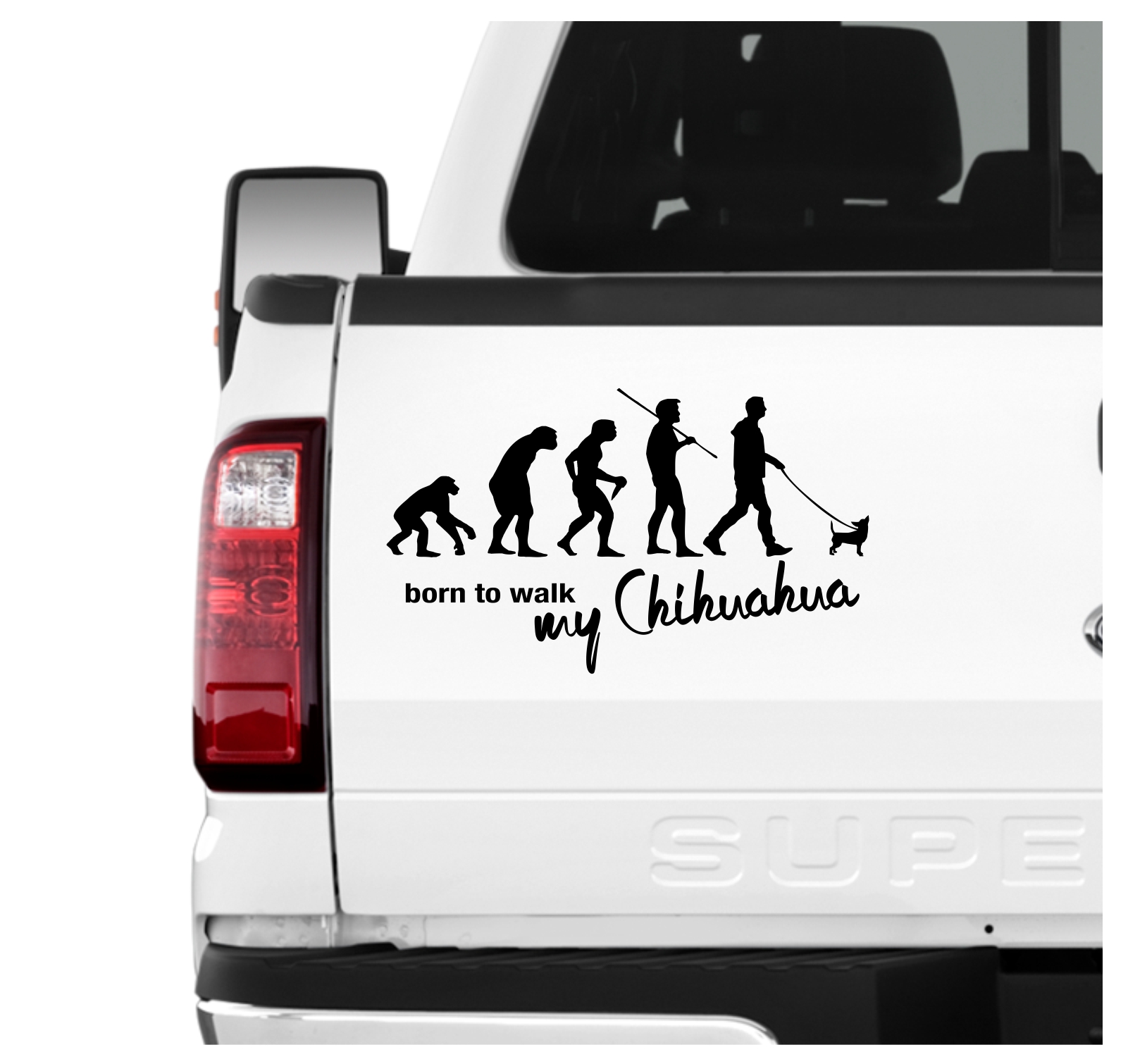 Chihuahua Chi Chis Schiwawa Evolution Born to Walk Hunde Aufkleber Sticker Autoaufkleber Wandtattoo Tattoo