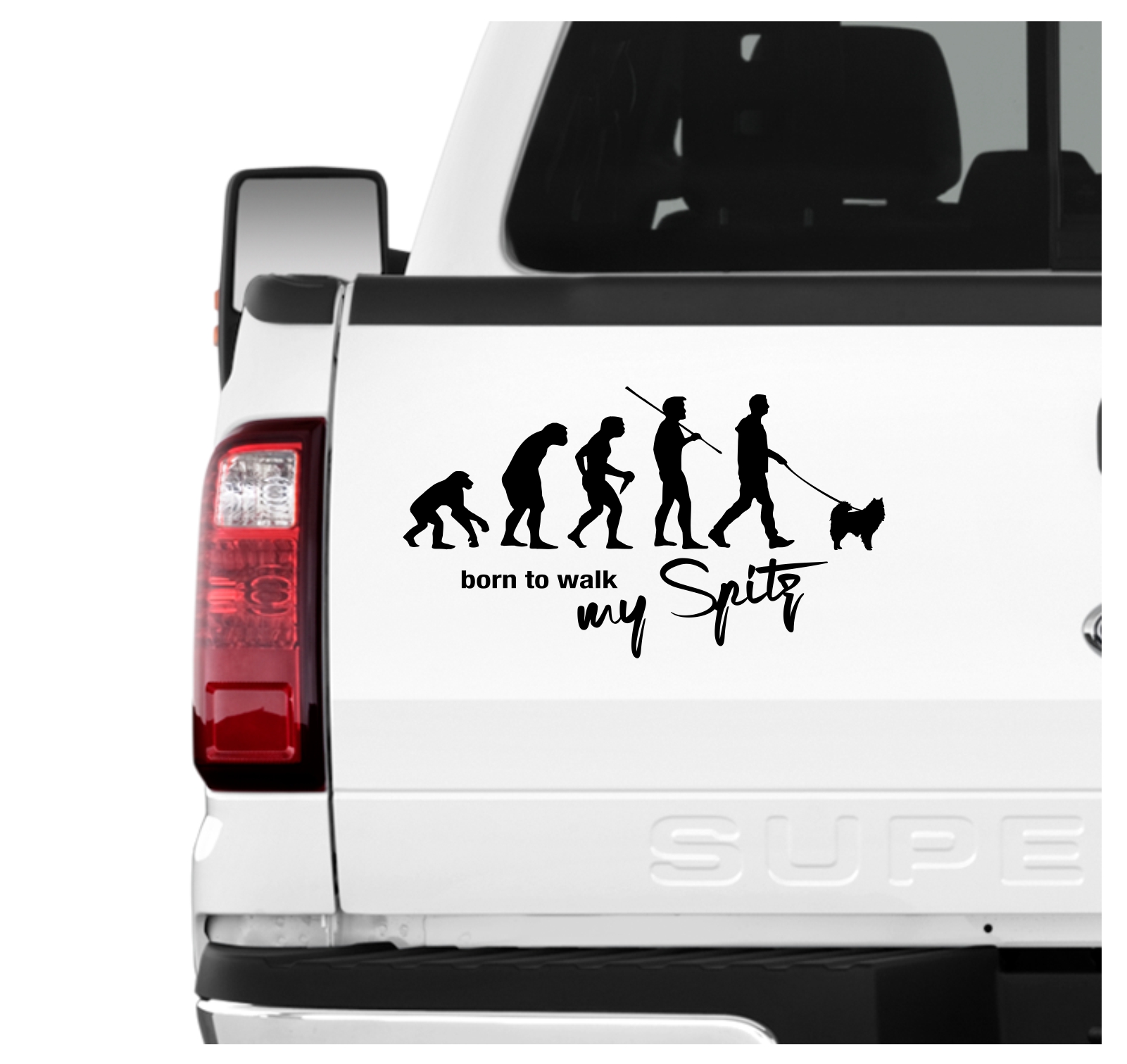 Spitz Spitze deutsche  Zwergspitz Evolution Born to Walk Hunde Aufkleber Sticker Autoaufkleber Wandtattoo Tattoo