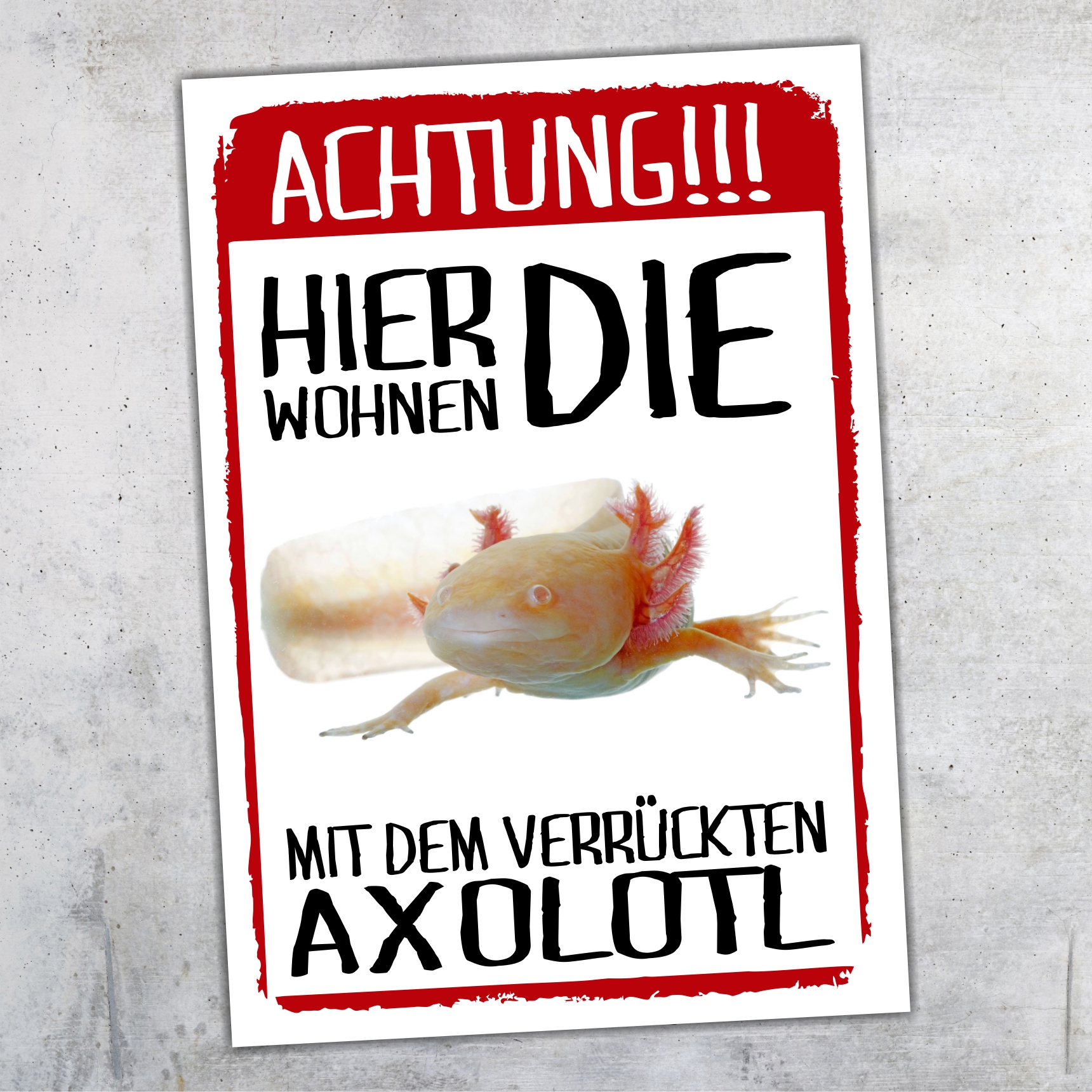 Hier wohnen die ... mit dem Verrückten Axolotl Türschild Warnschild Spruch Schild happy Design by Siviwonder