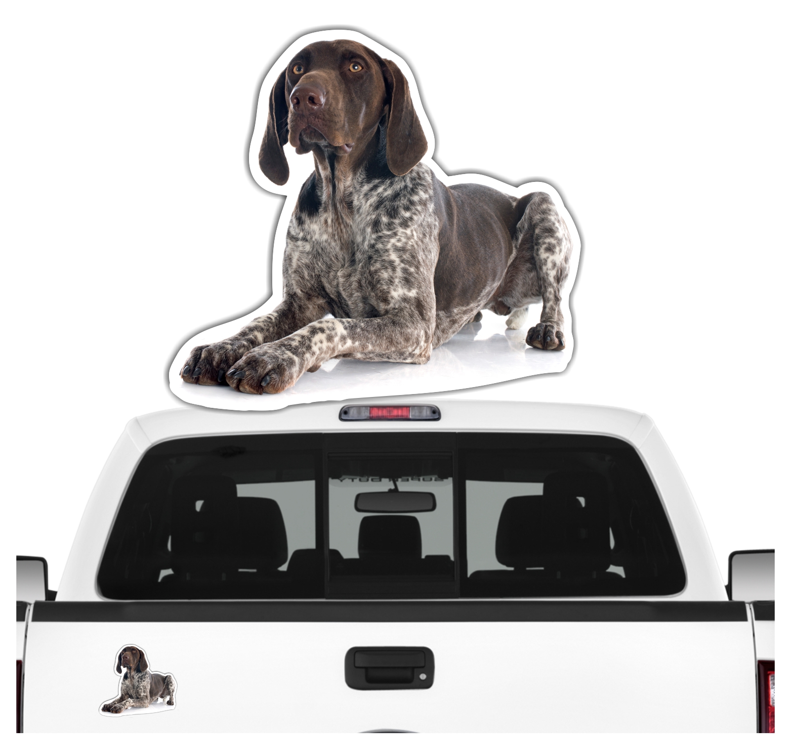Deutsch Kurzhaar DK Deutscher kurzhaariger Vorstehhund German Shorthaired Pointer Jagdhund Jäger Bayern  Dog Pfoten Digitaldruck Motiv by SIVIWONDER
