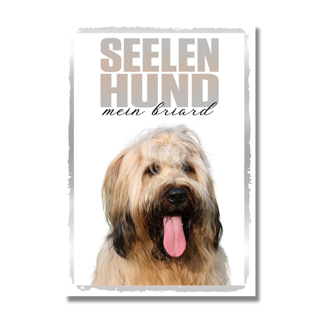 Briard Seelenhund Dog Schild Spruch Türschild Hundeschild Warnschild Soulmate