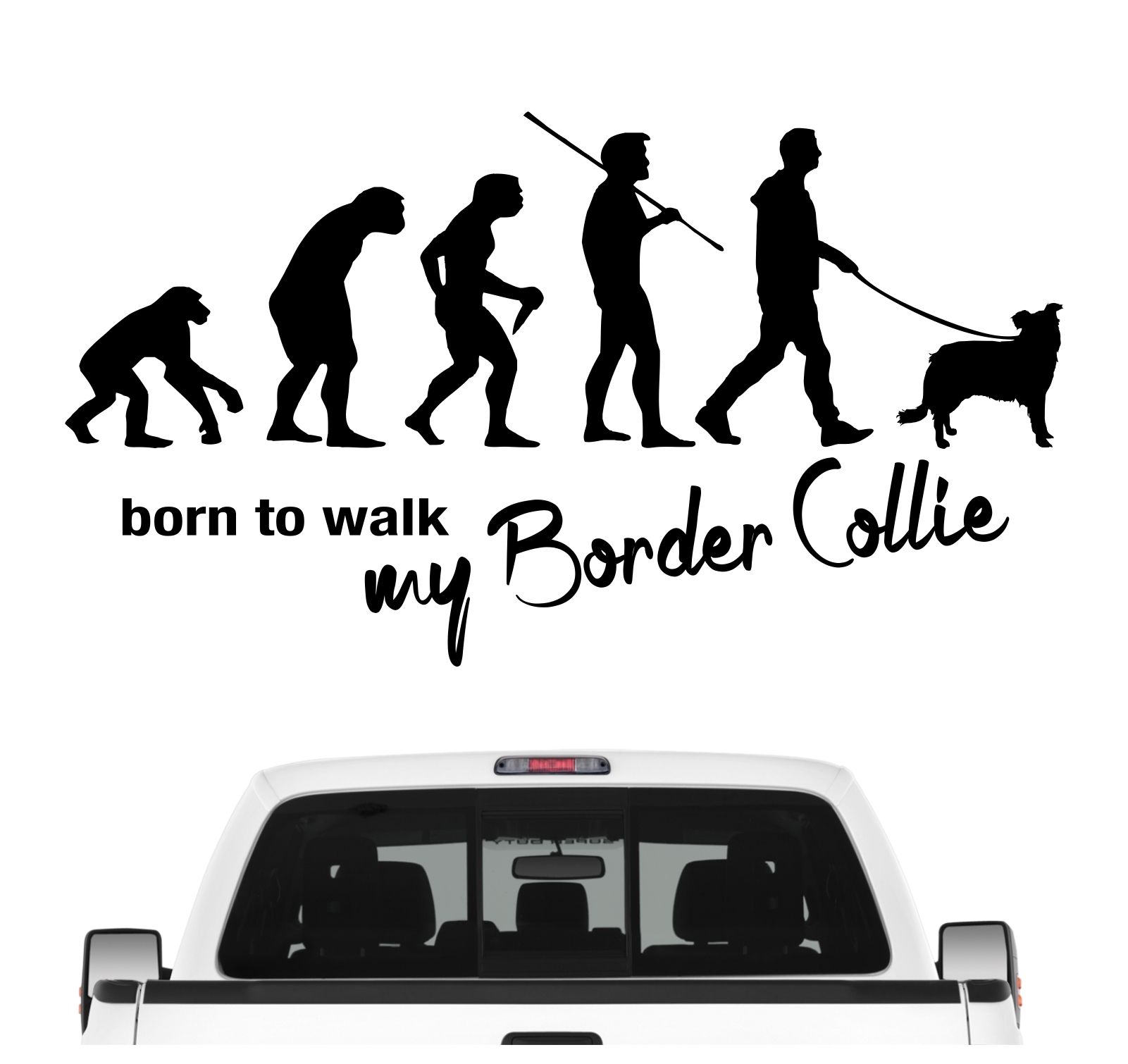 Border Collie Sheepdog Evolution Autoaufkleber Hund Aufkleber Folie