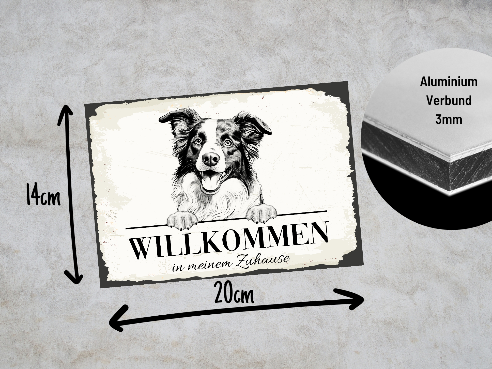 Hundeschild Willkommen Zuhause Border Collie Schild