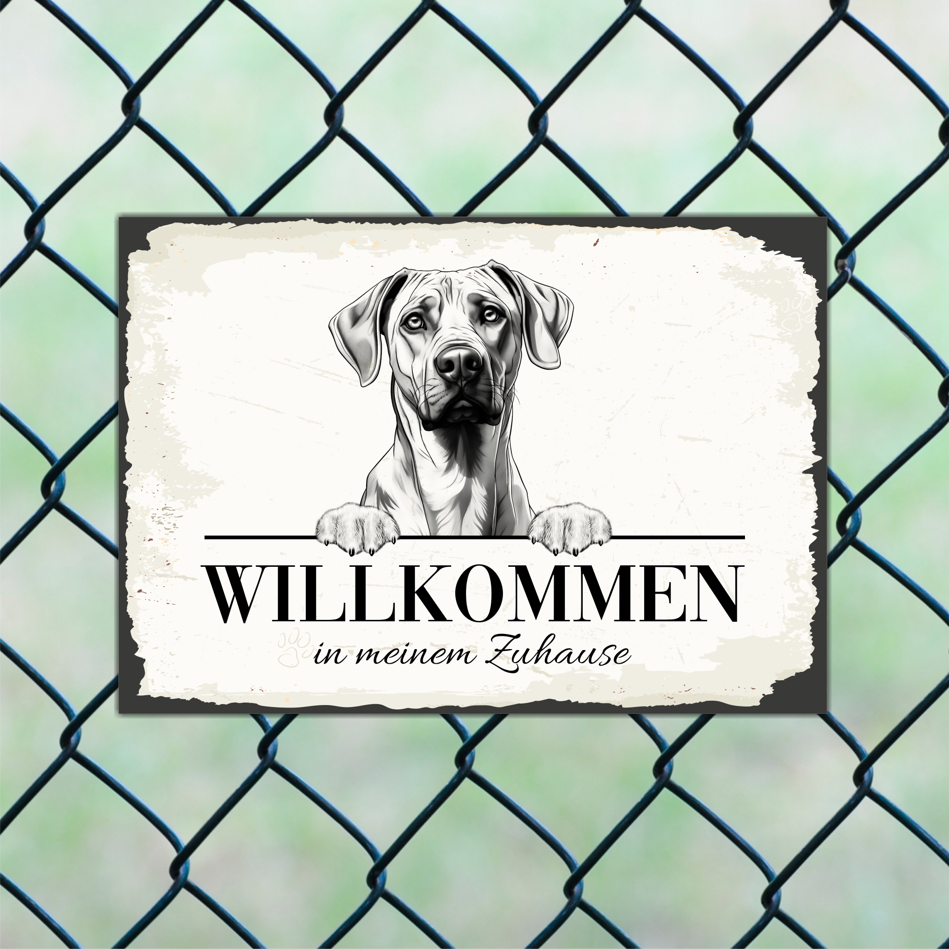 Hundeschild Willkommen Zuhause Ridgeback Dog Schild Spruch Türschild  Warnschild