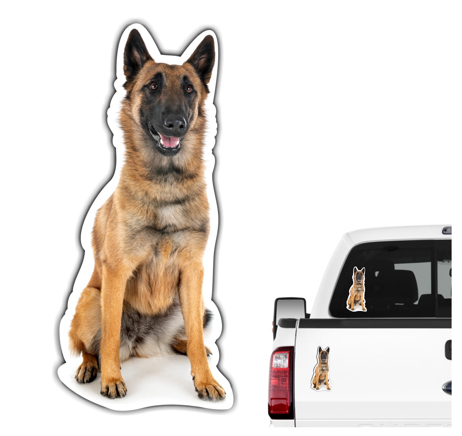 Malinois Belgian Mali Belgischer Schäferhund Berger Belge Dog Pfoten Digitaldruck Motiv by SIVIWONDER