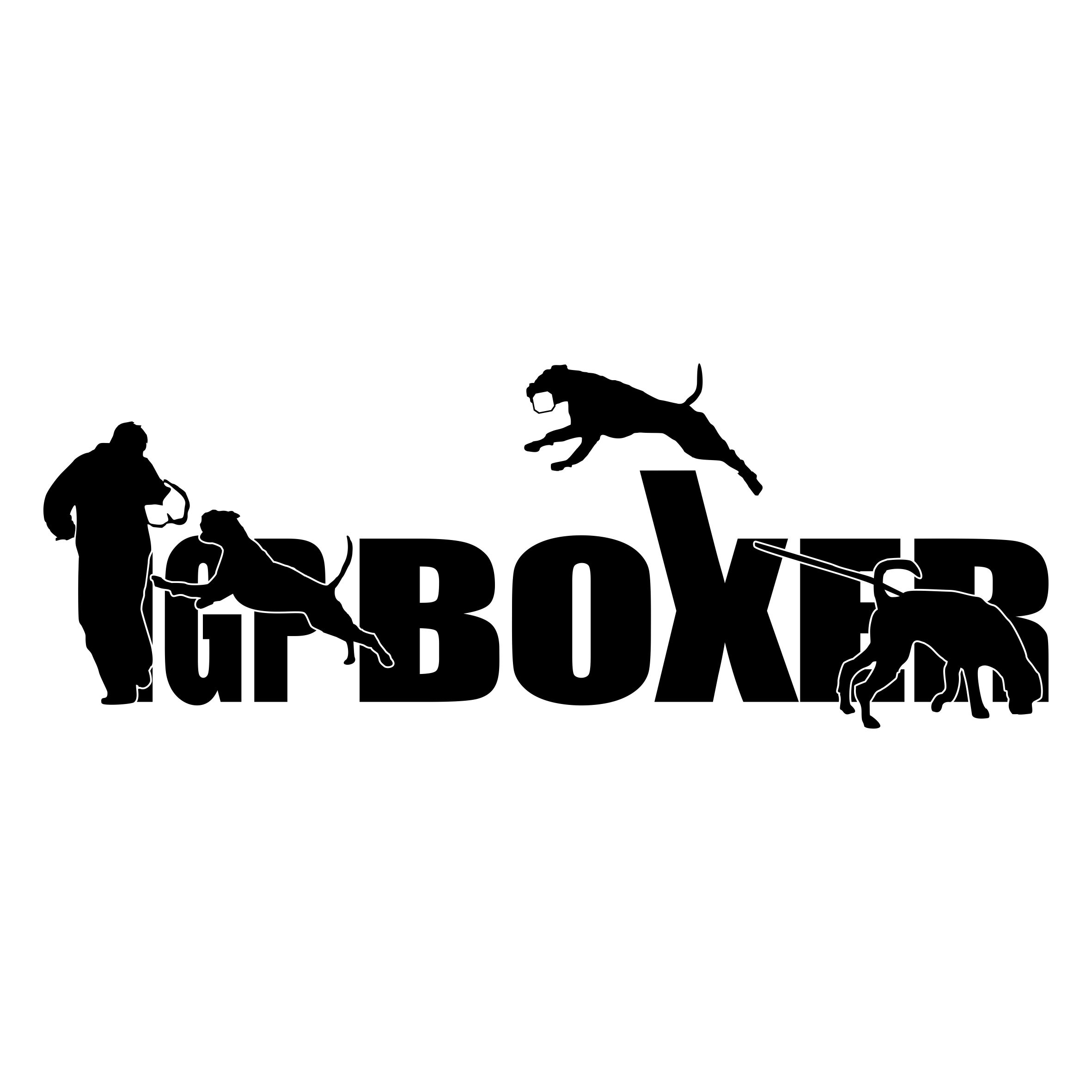 BOXER Deutscher AUTOAUFKLEBER IGP Schrift by SIVIWONDER IPO