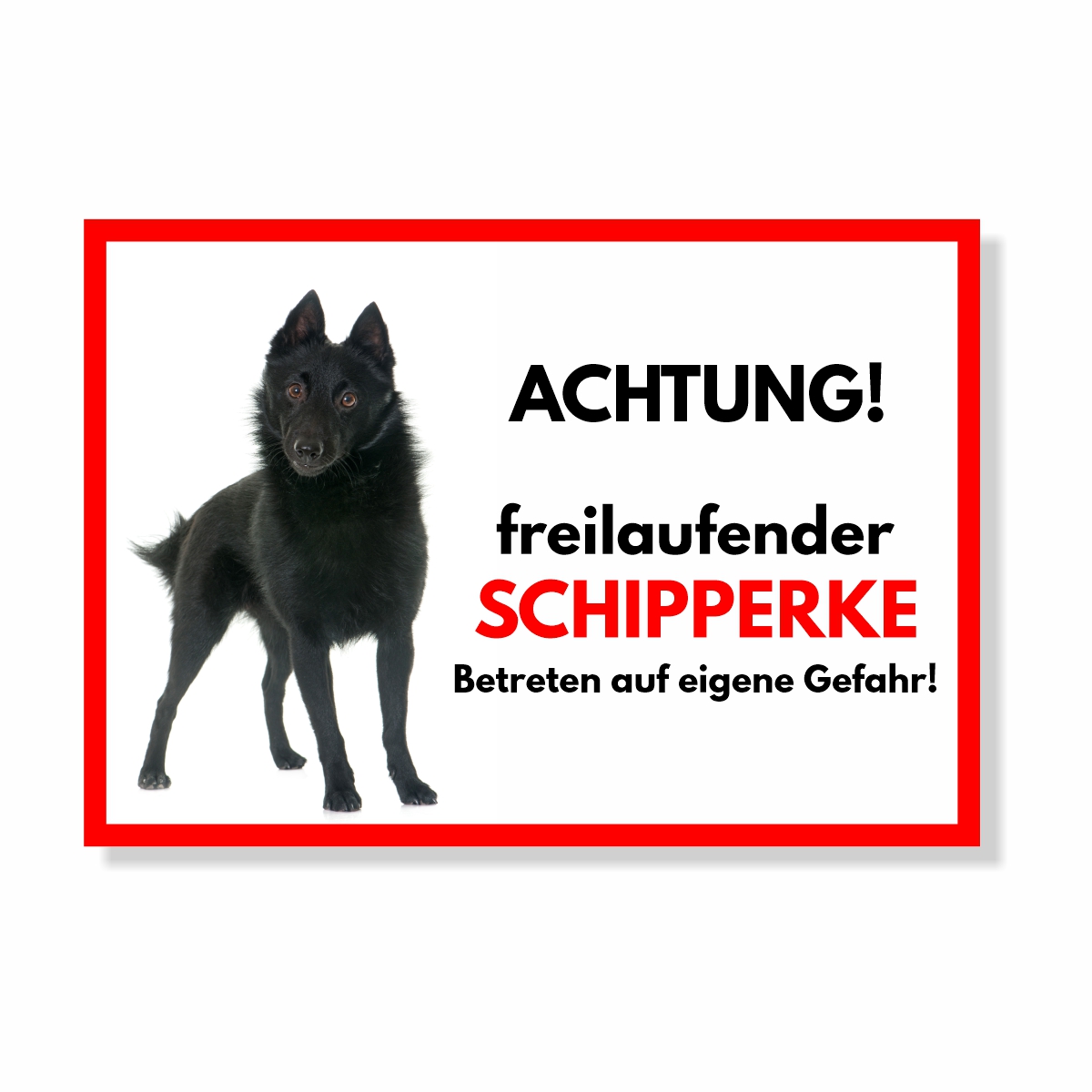 Schipperke Freilaufender Hund Dog Schild Spruch Türschild Hundeschild Warnschild