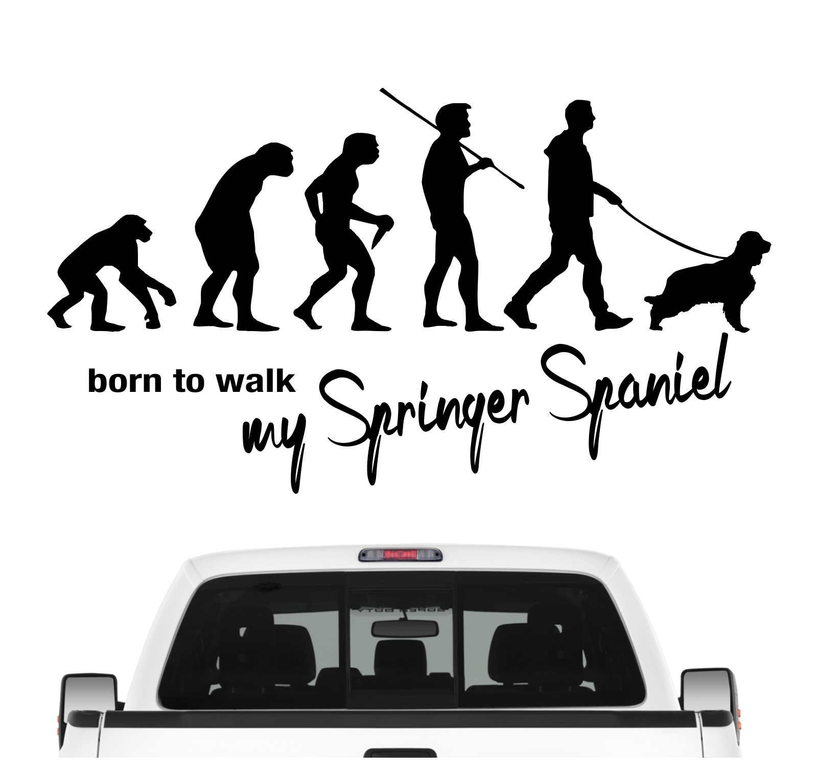 Springer Spaniel English Spanier Welsh Evolution Born to Walk Hunde Aufkleber Sticker Autoaufkleber Wandtattoo Tattoo