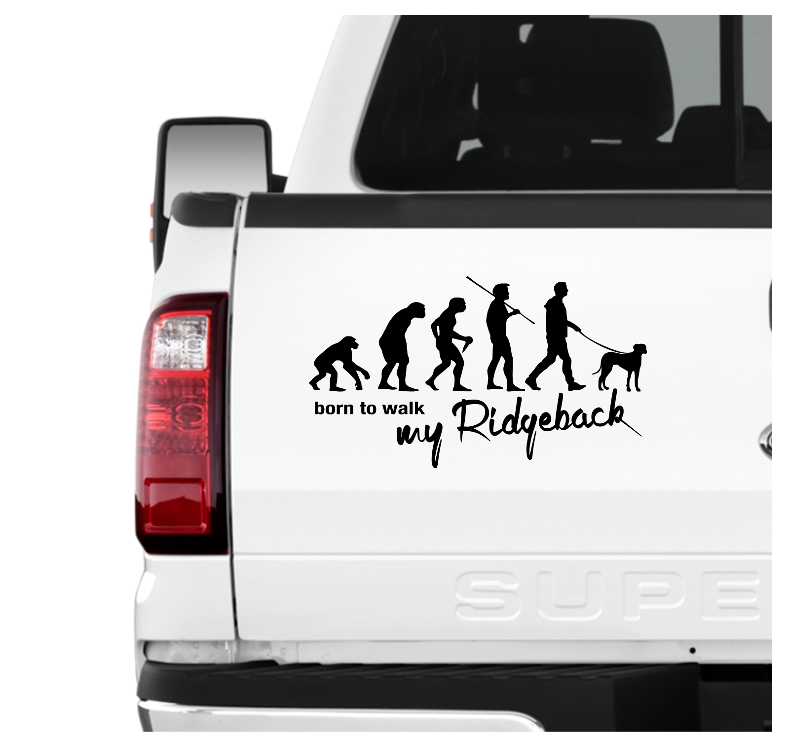 Rhodesian Ridgeback RR Löwenhund Liondog African Lion Boy Girl Evolution Born to Walk Hunde Aufkleber Sticker Autoaufkleber Wandtattoo Tattoo