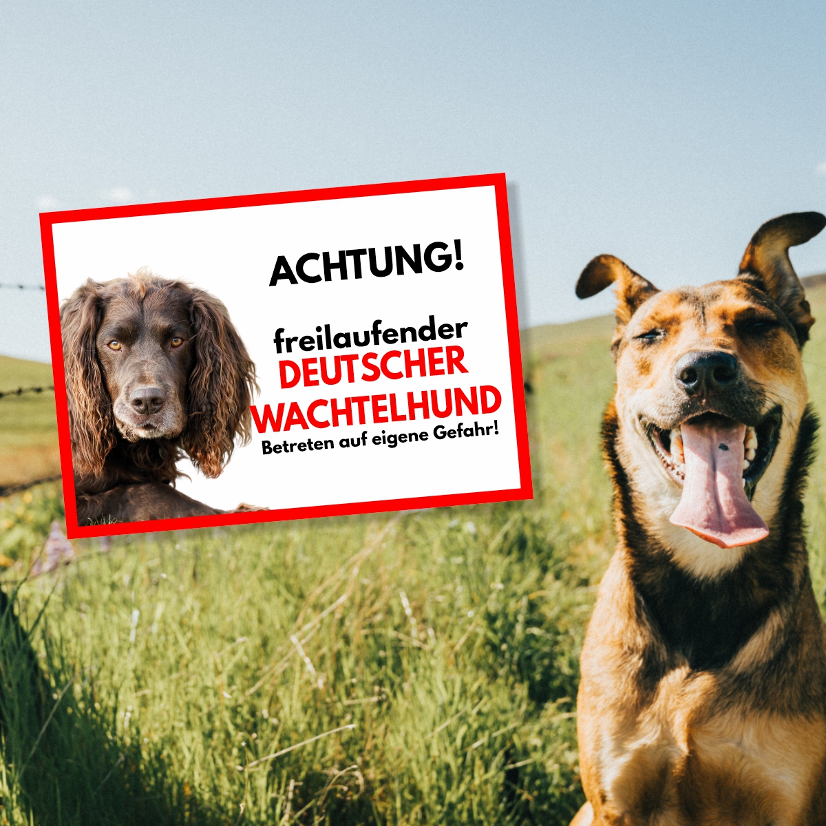 Deutscher Wachtelhund Freilaufender Hund Dog Schild Spruch Türschild Hundeschild Warnschild